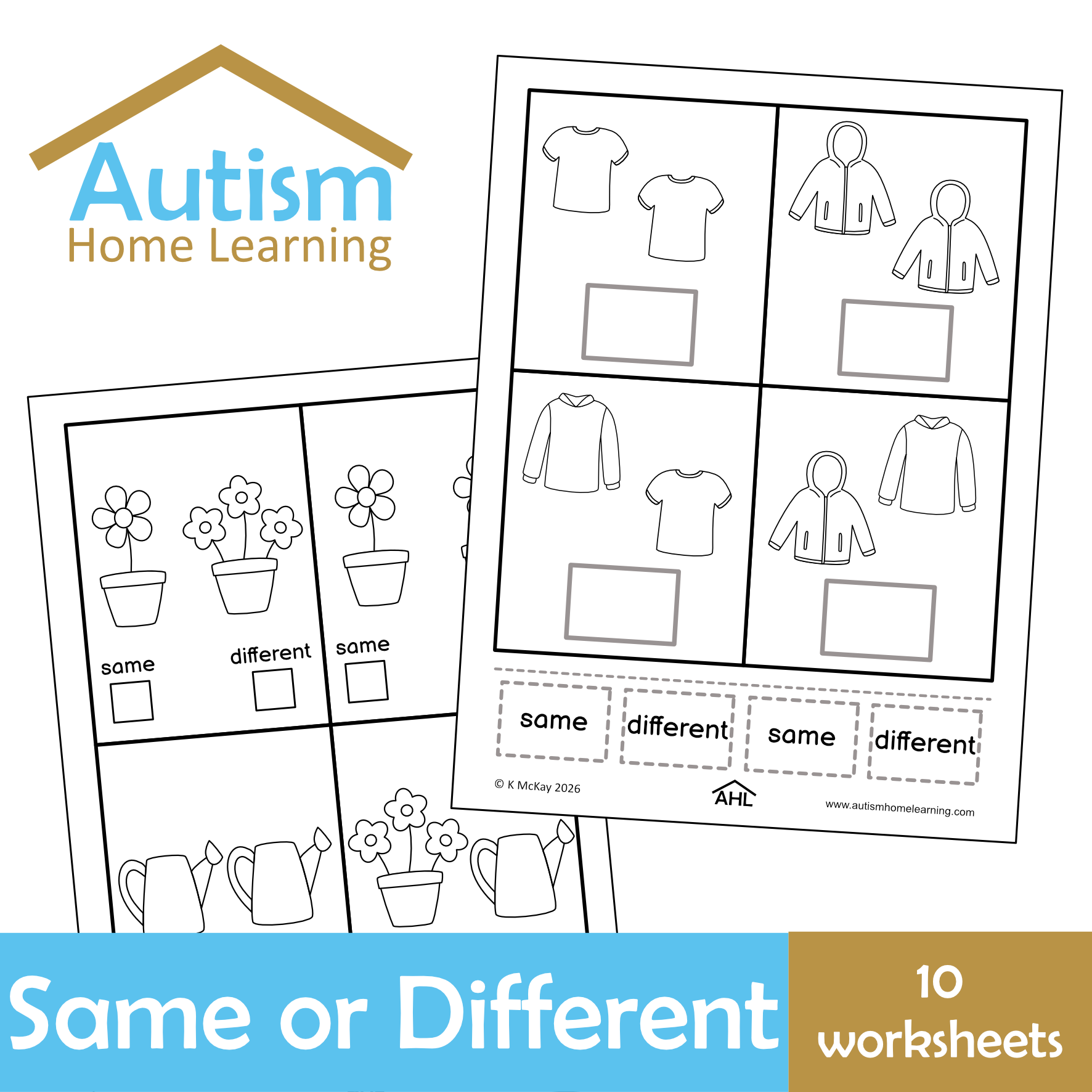 Same or Different Worksheets
