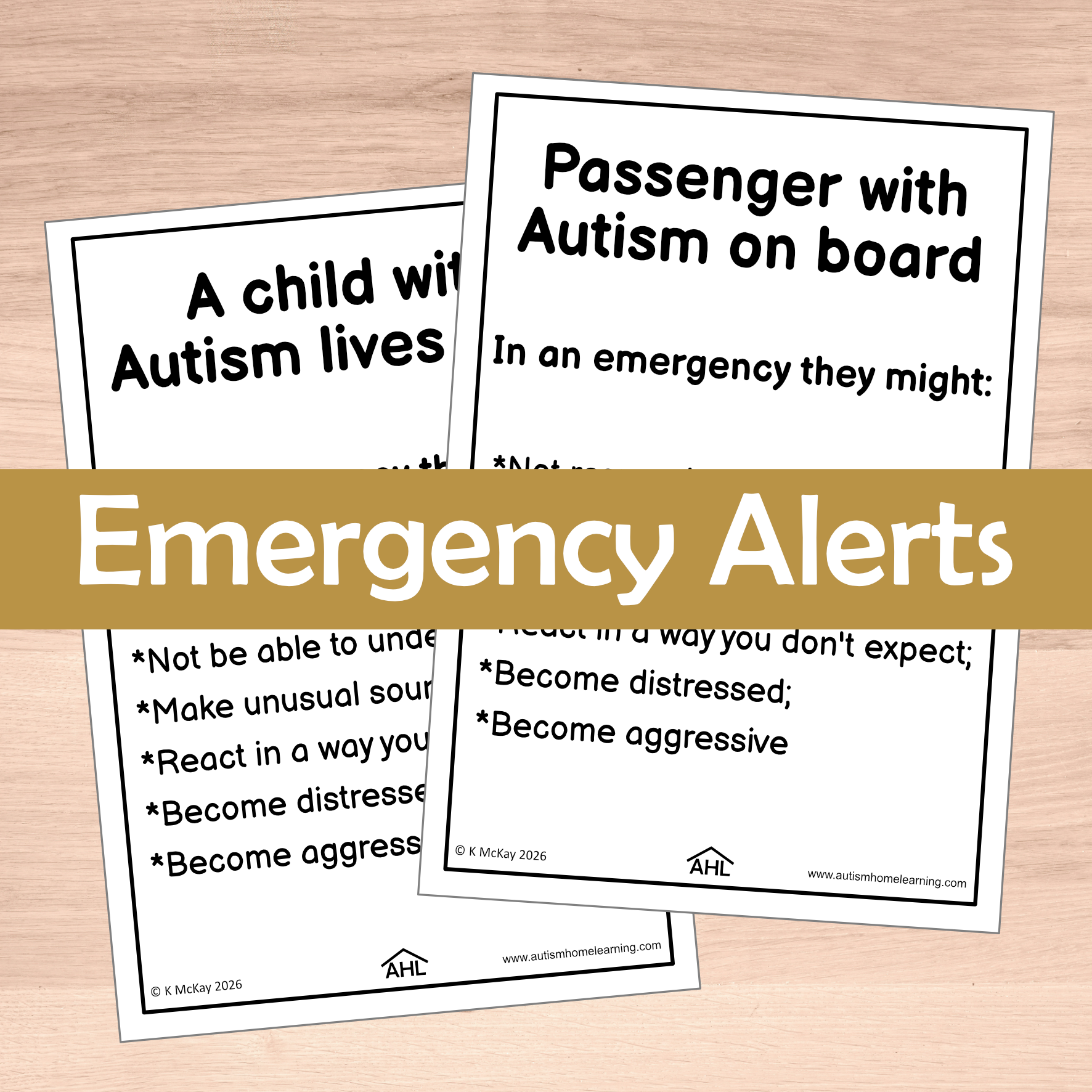Autism Emergency Alert Posters