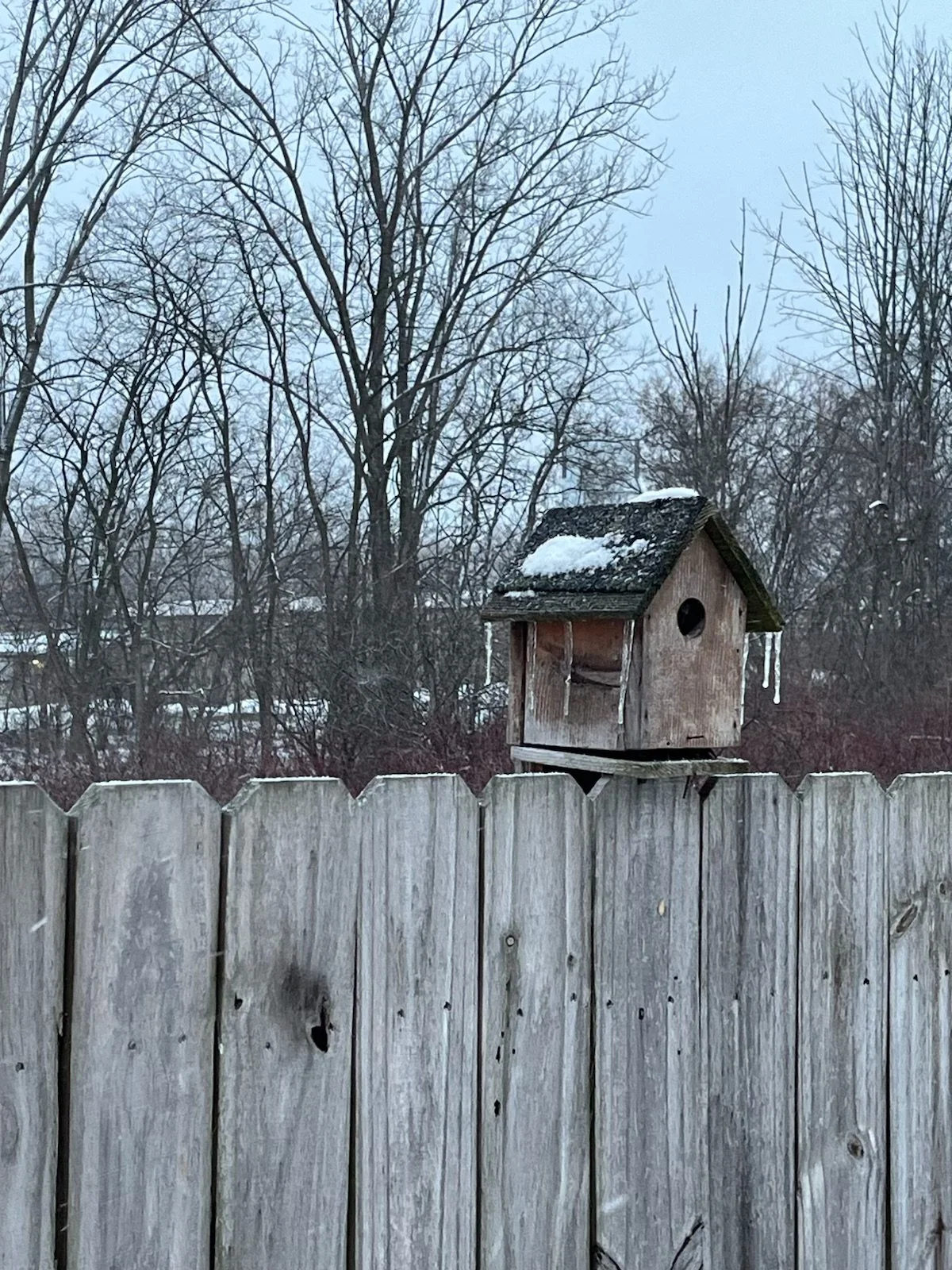 Weathered wooden birdhouse with icicles hanging and snow on the roof, mounted on a fence, with leafless trees in the background on a cloudy winter day.