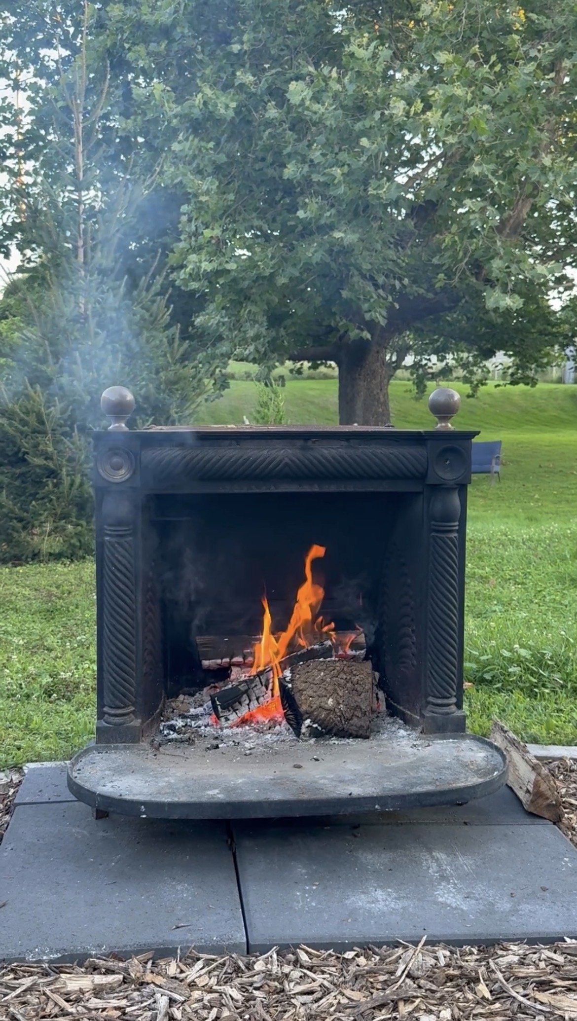 Outdoor scene with a wood-burning fireplace ire pit on a gray concrete patio, burning logs with flames. A large leafy tree and a smaller evergreen shrub or tree are visible in the background, along with grassy lawn and garden area.