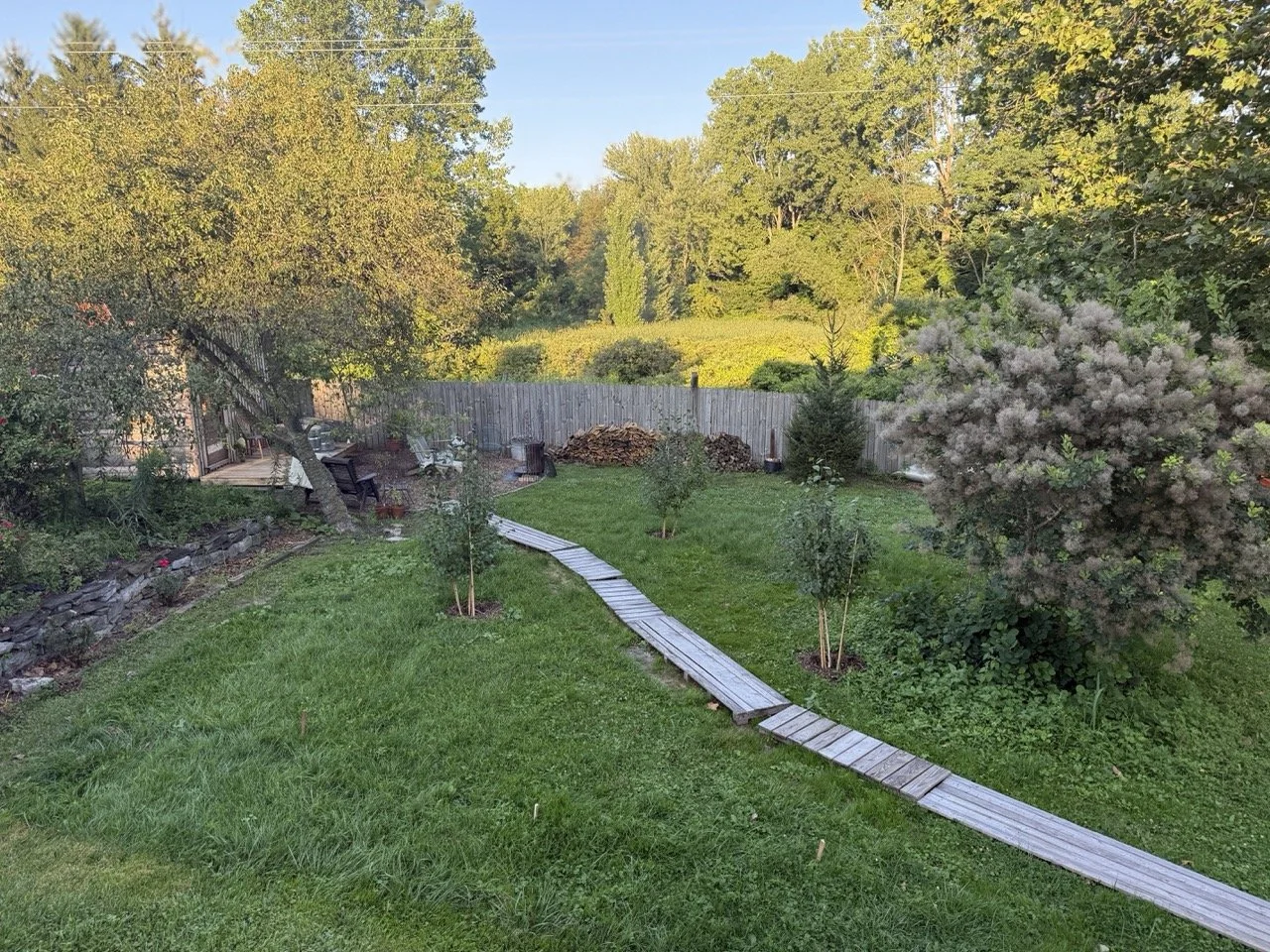 A backyard with a wooden walkway winding through a grassy lawn, trees, and shrubs, enclosed by a wooden fence, with seating area and firewood piled near the fence.
