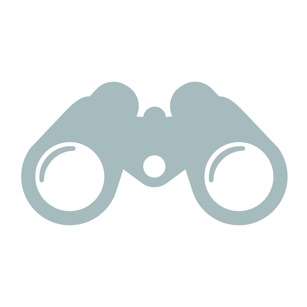 A digital illustration of a binoculars with a simplified, minimalistic design.