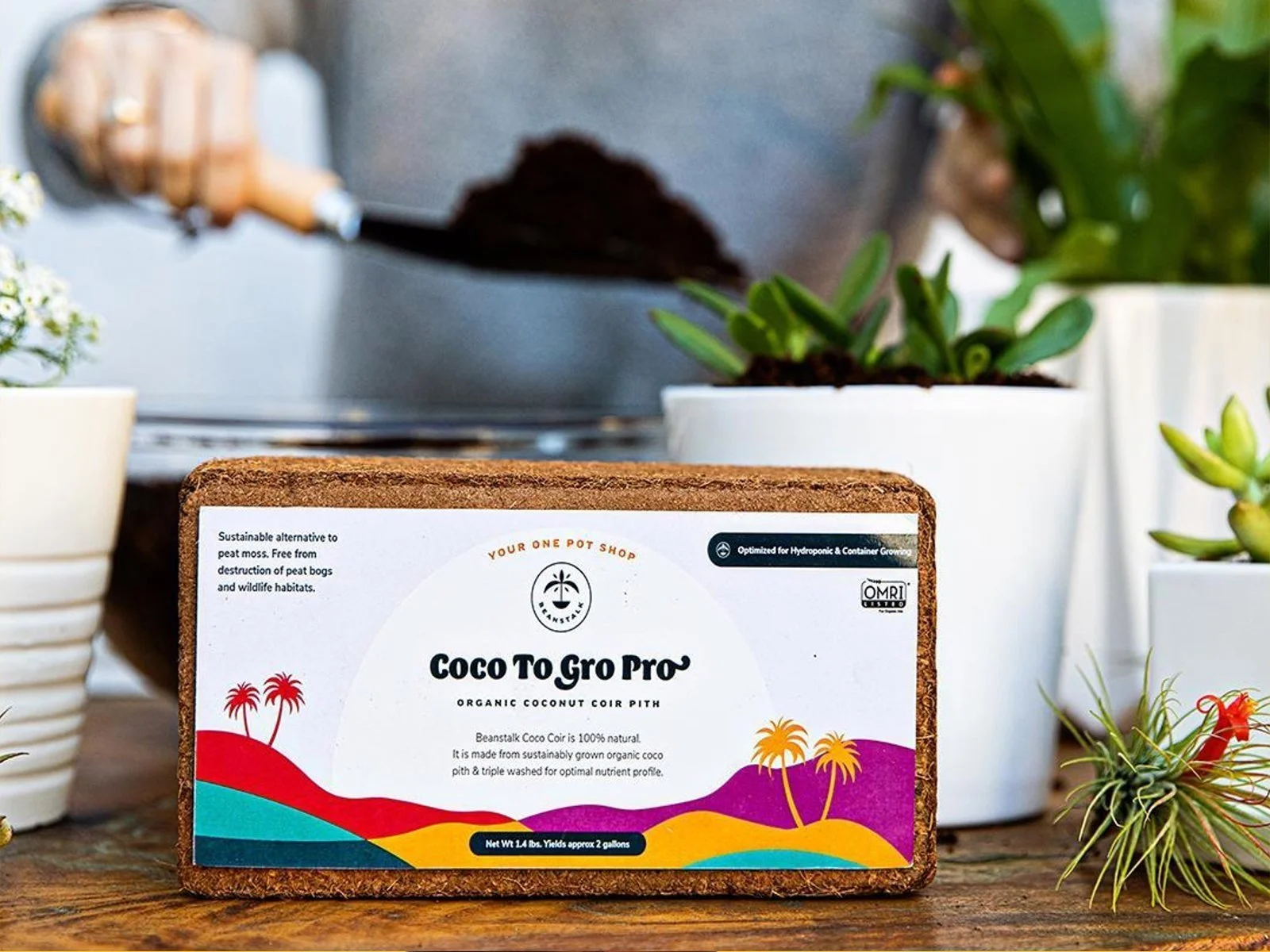 beanstalk coconut coir label design