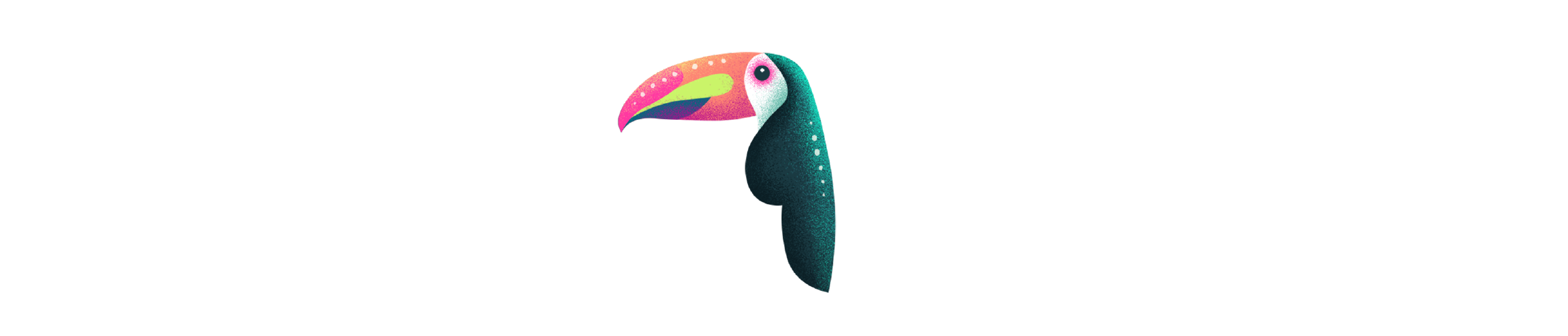 toucan-illustration
