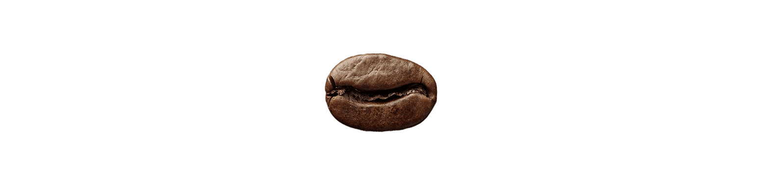 toutoucans logo gif