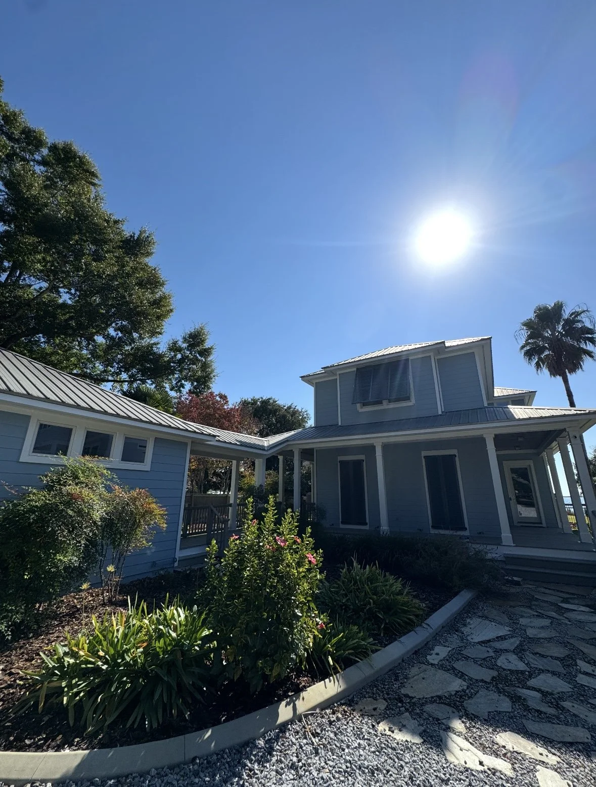A blue house with a metal roof, surrounded by plants and greenery, under a clear blue sky with the sun shining brightly.