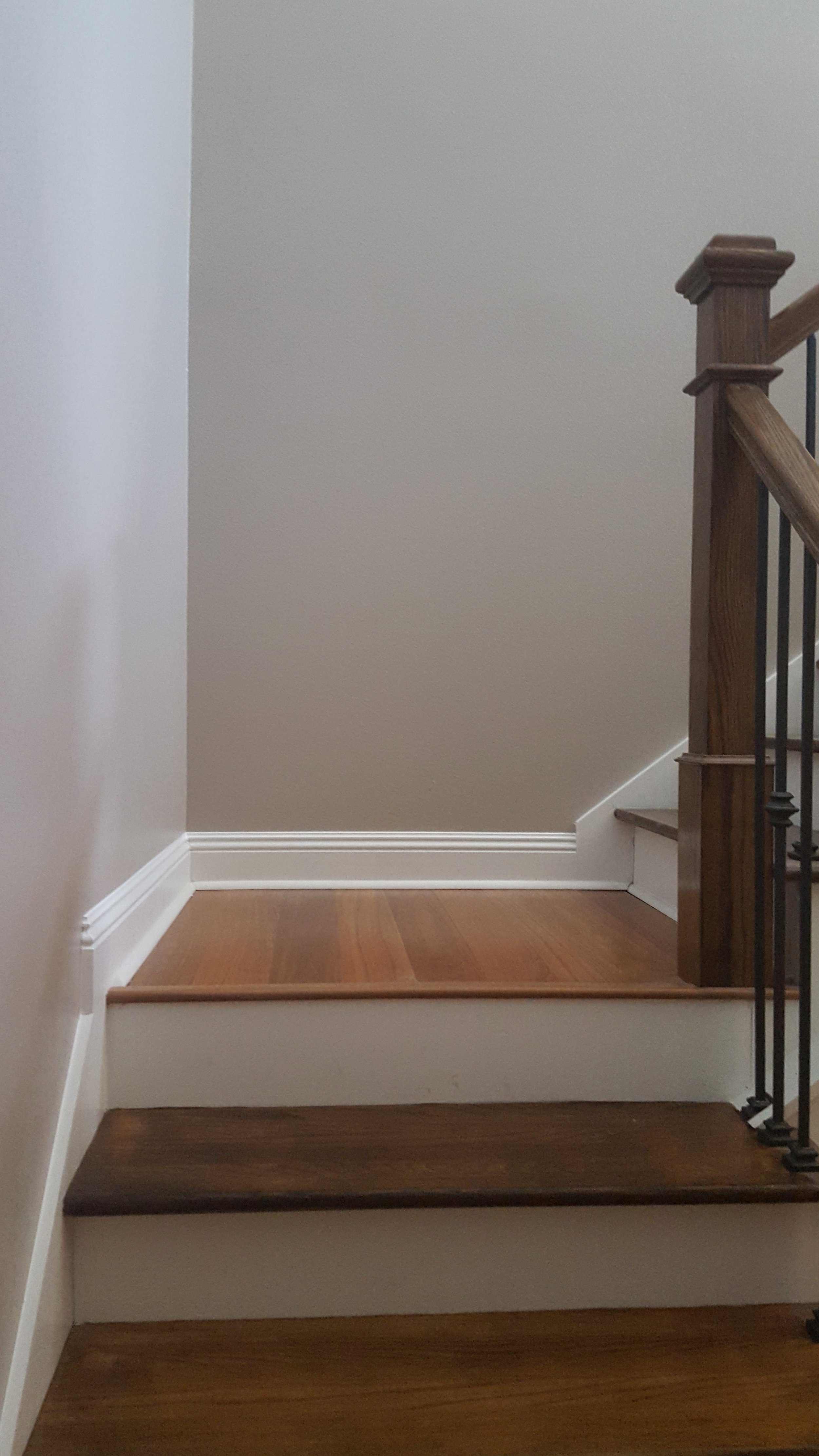 Stairwell repainted walls, baseboards and railing.