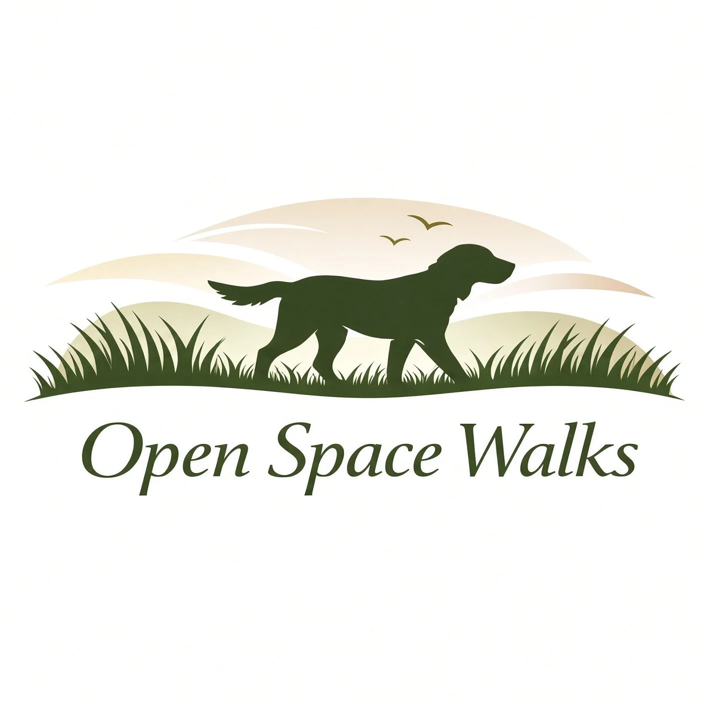 Open Space Walks