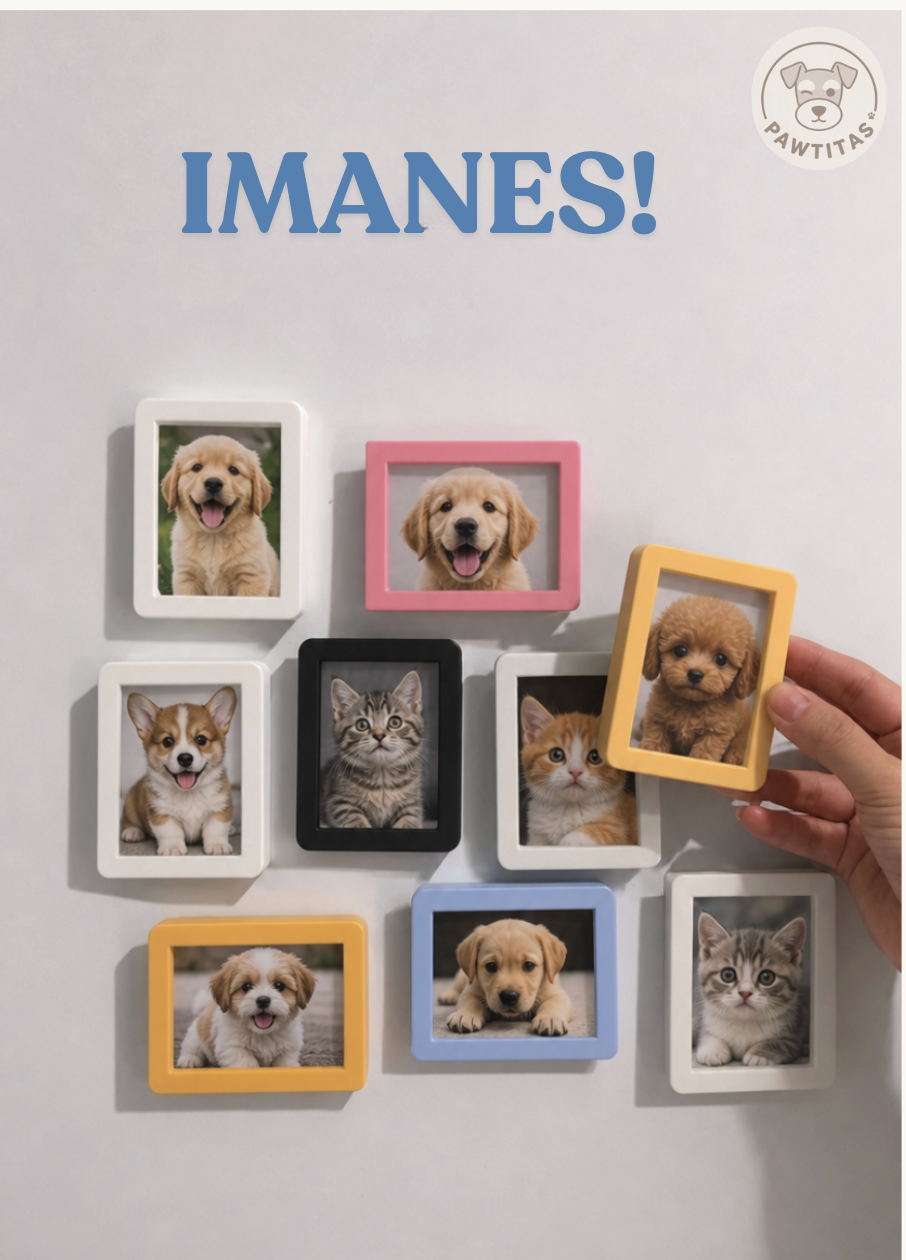 IMAN MARCO DE FOTOS 🐾