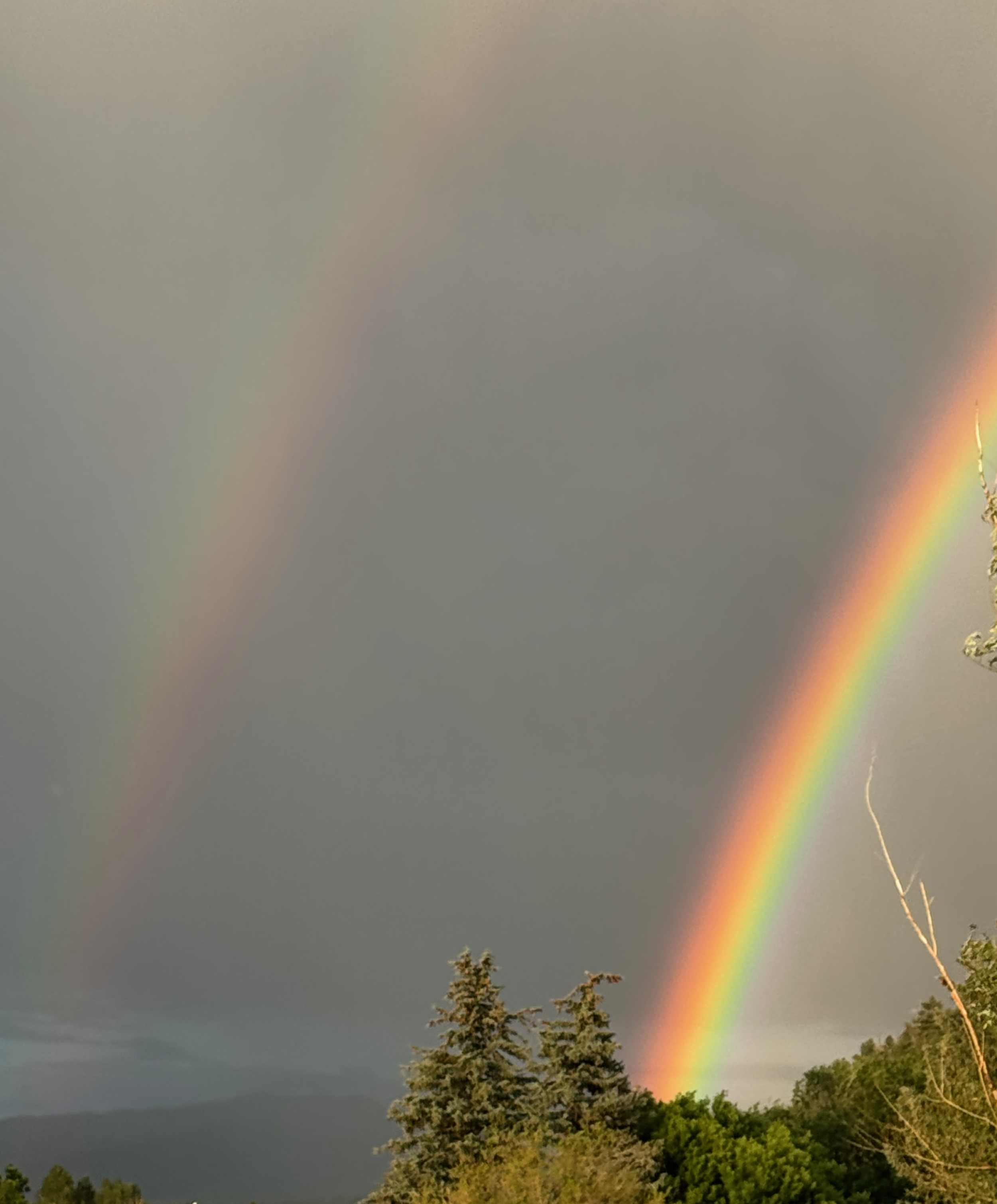 A rainbow arcing across a cloudy sky above a forested landscape with trees and distant mountains.