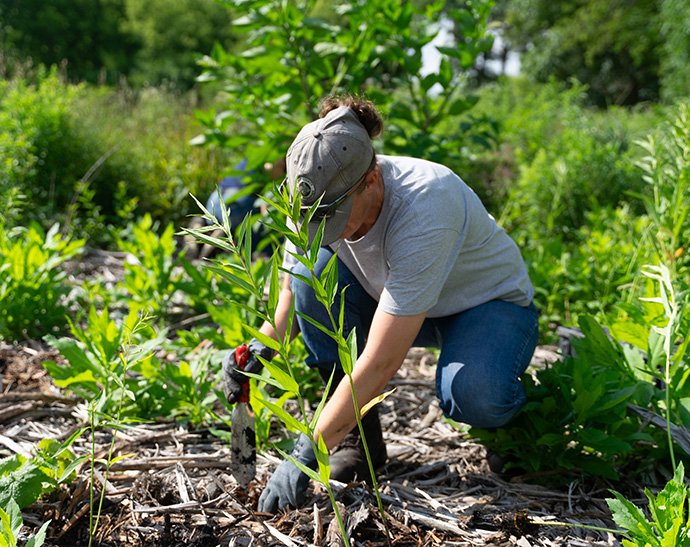 Lake County Forest Preserve District - Restoration Workday at Greenbelt 