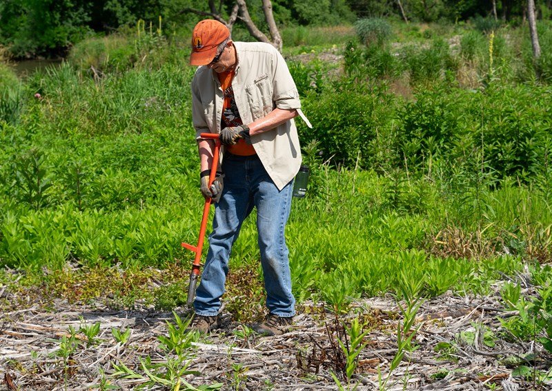 Lake County Forest Preserve District - Restoration Workday at Lyons Woods
