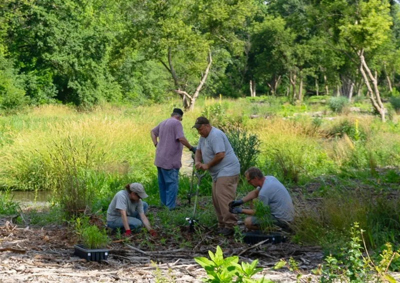 Lake County Forest Preserve District - Restoration Workday at Lyons Woods