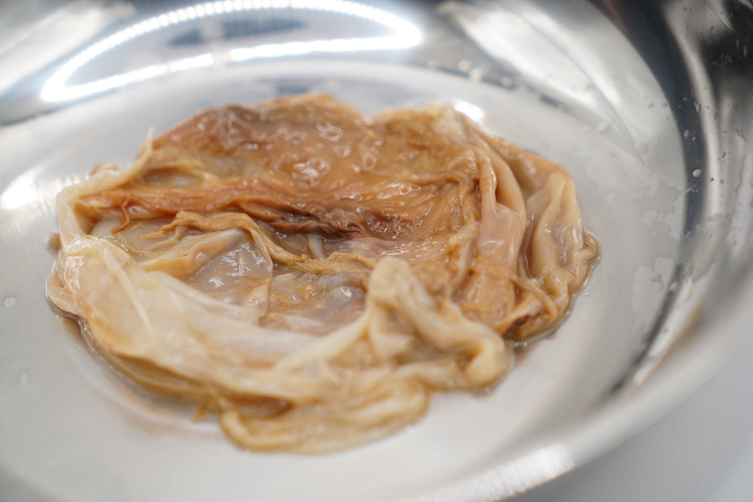 DSC03119.JPG