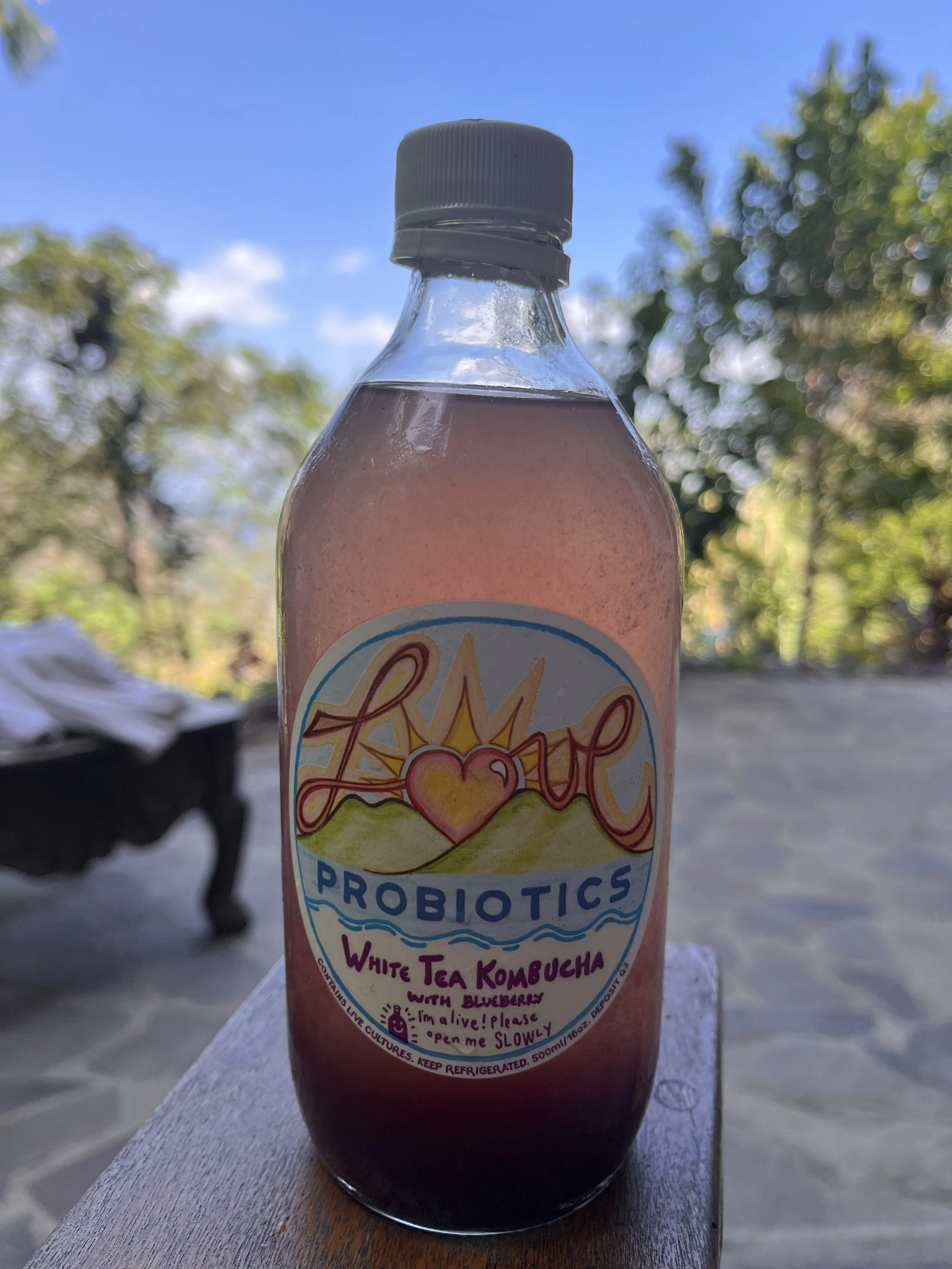 Flasche mit probiotischer Weißer Tee-Kombucha mit Blaubeere, auf einem Holztisch im Freien bei sonnigem Himmel, Bäume im Hintergrund.