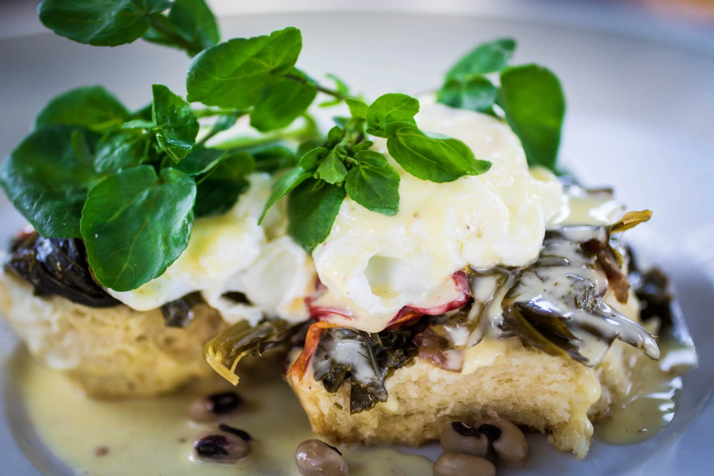 A close-up of a plate with a layered dish topped with green herbs, creamy sauce, and black beans, with a crispy base.