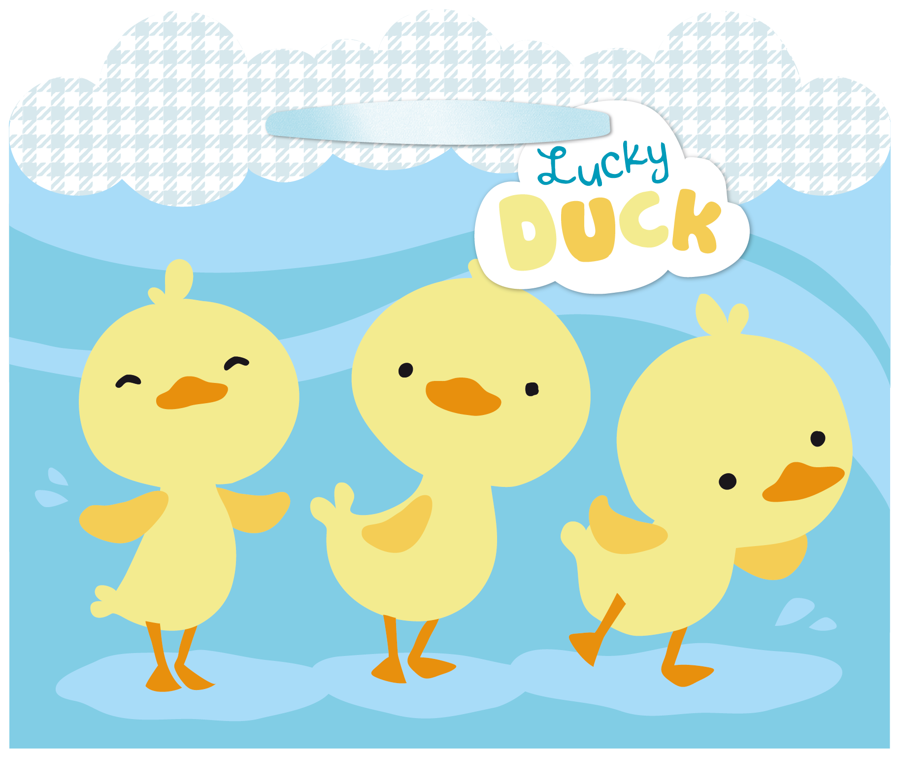 bags-DUCK.png