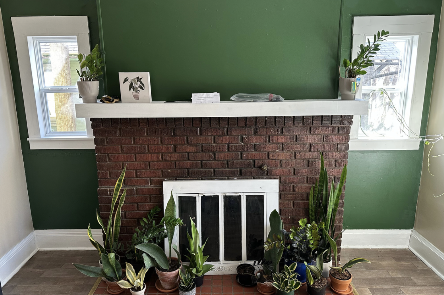 Spring, New Beginnings, and Community