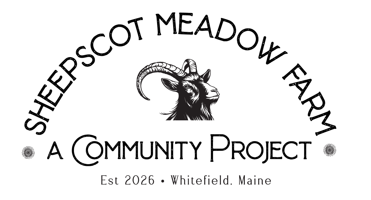 Your Site Title