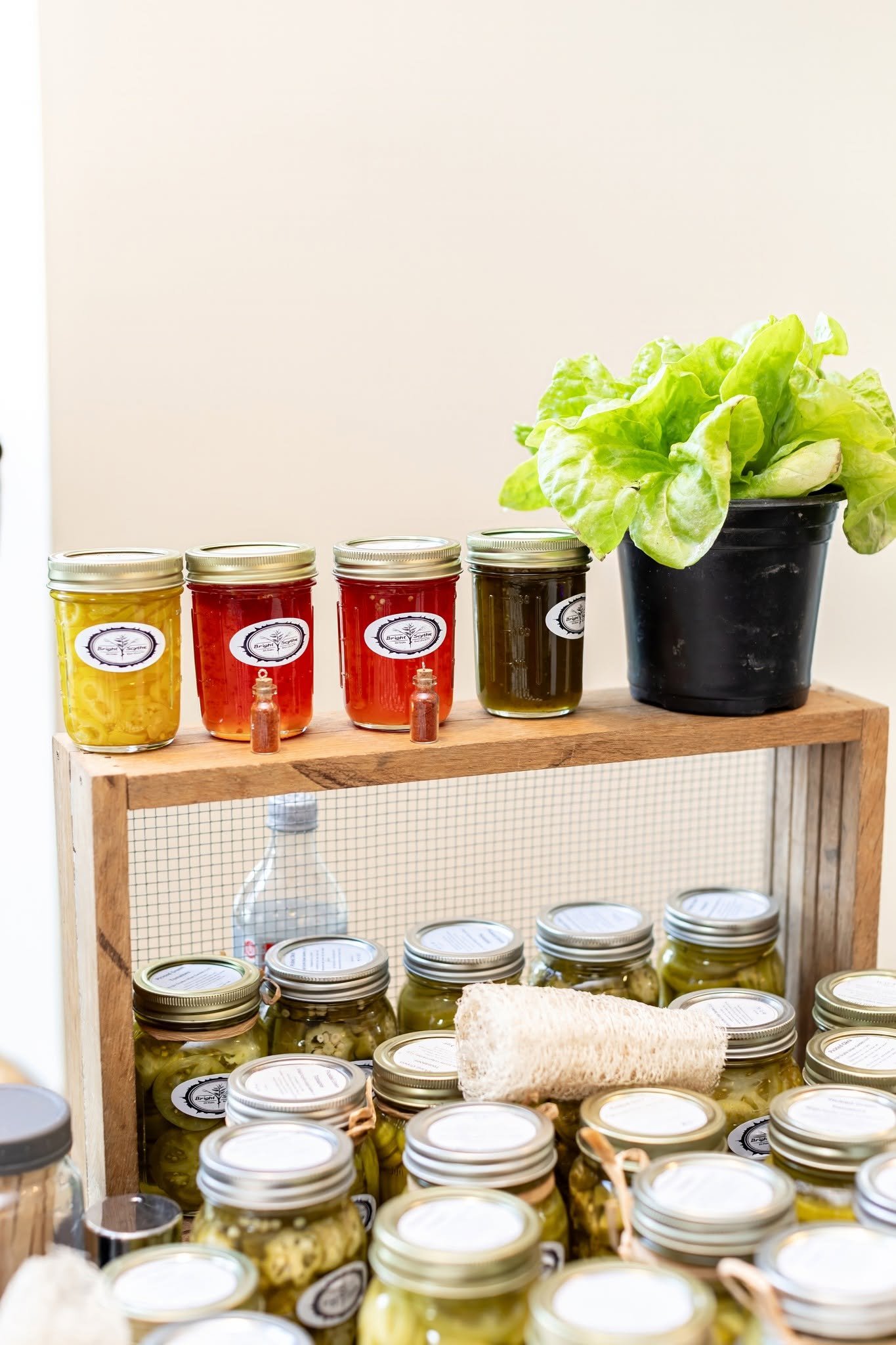 Collection of jars, a potted lettuce plant, and dropper bottles on a wooden shelf.