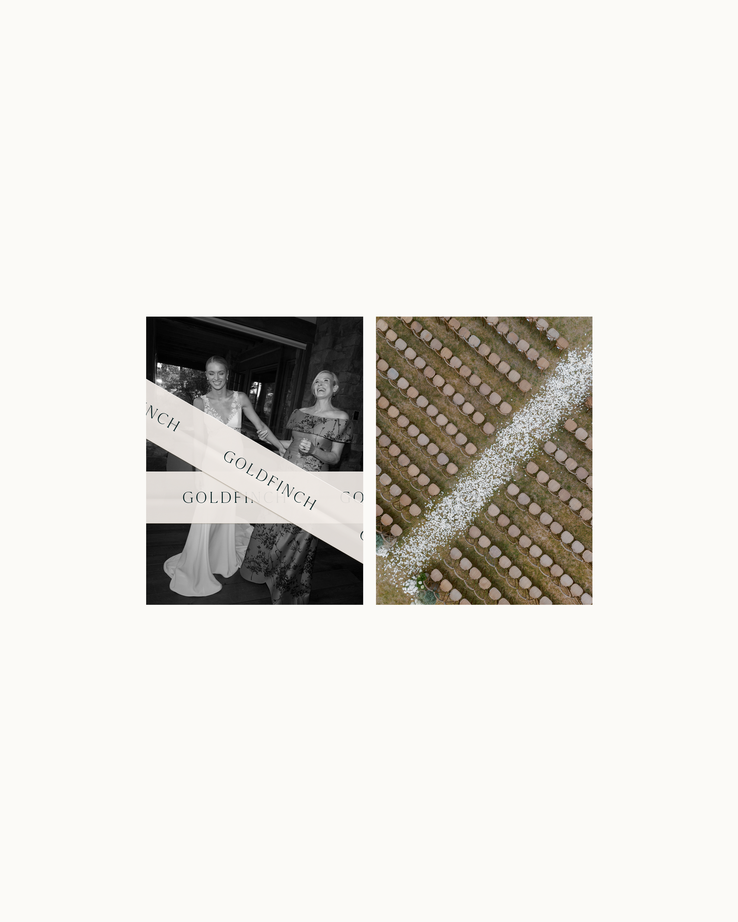 Goldfinch_2025 Launch Graphics 5.png