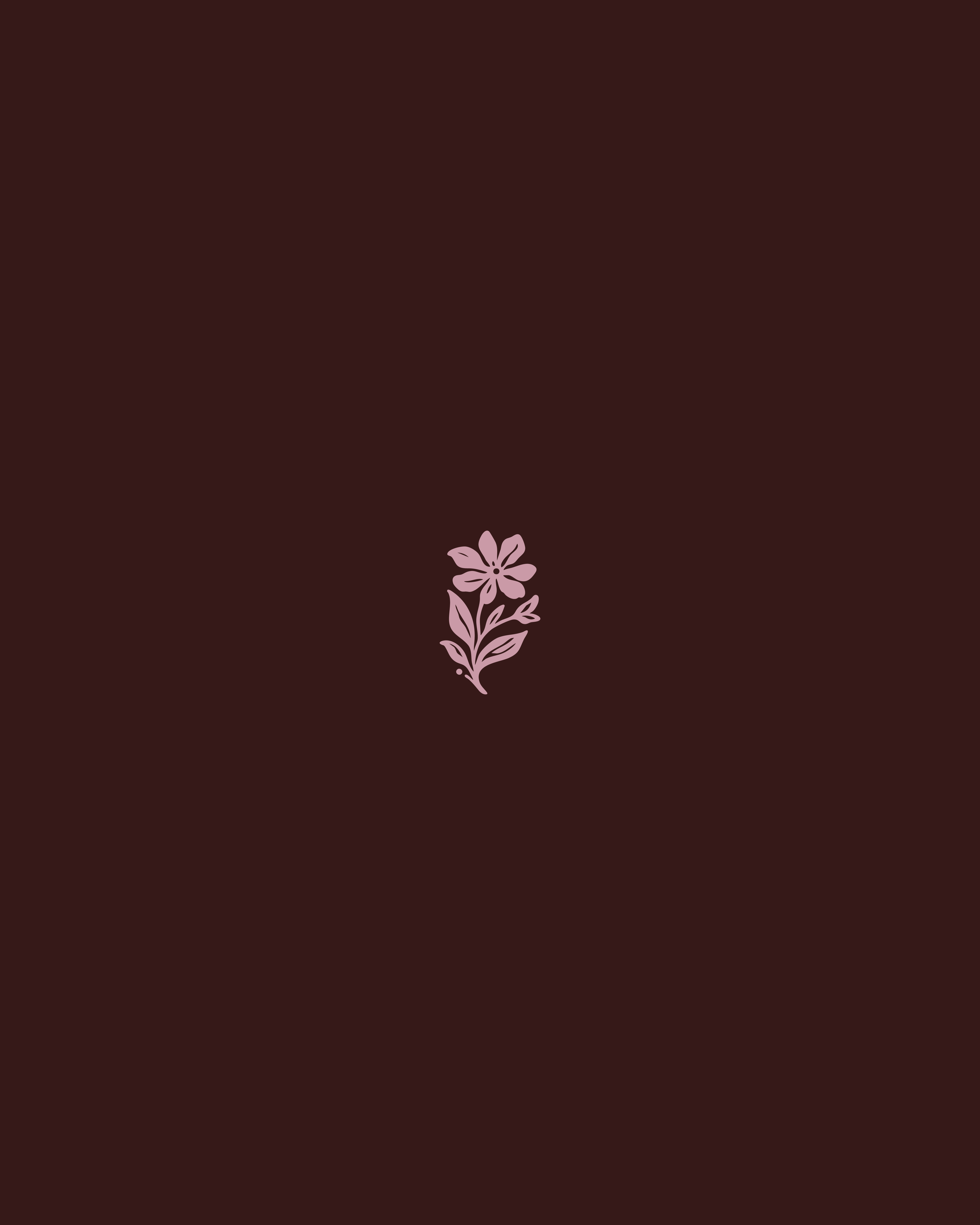 Studio Aurea-11.png