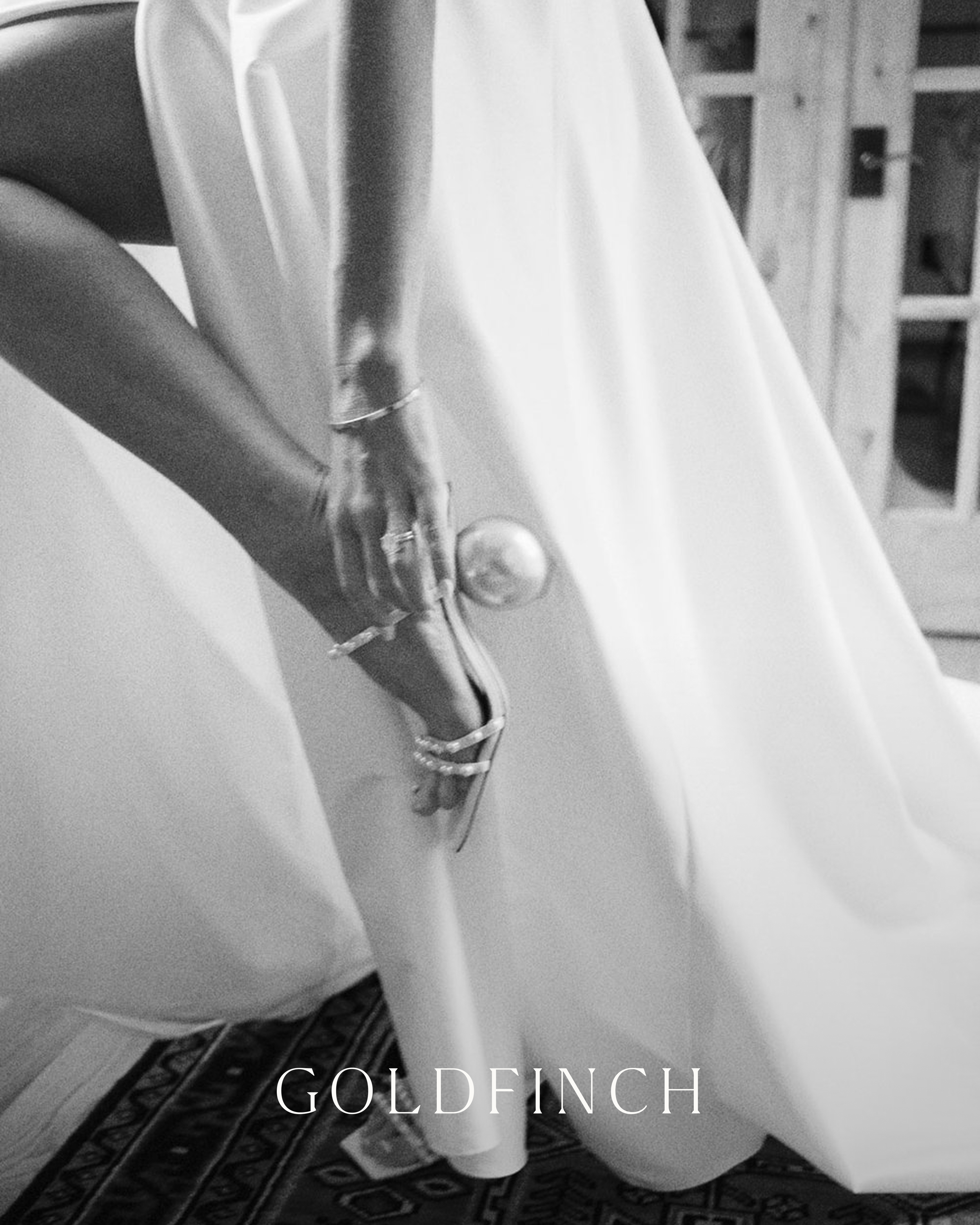 Goldfinch_2025 Launch Graphics 3.png