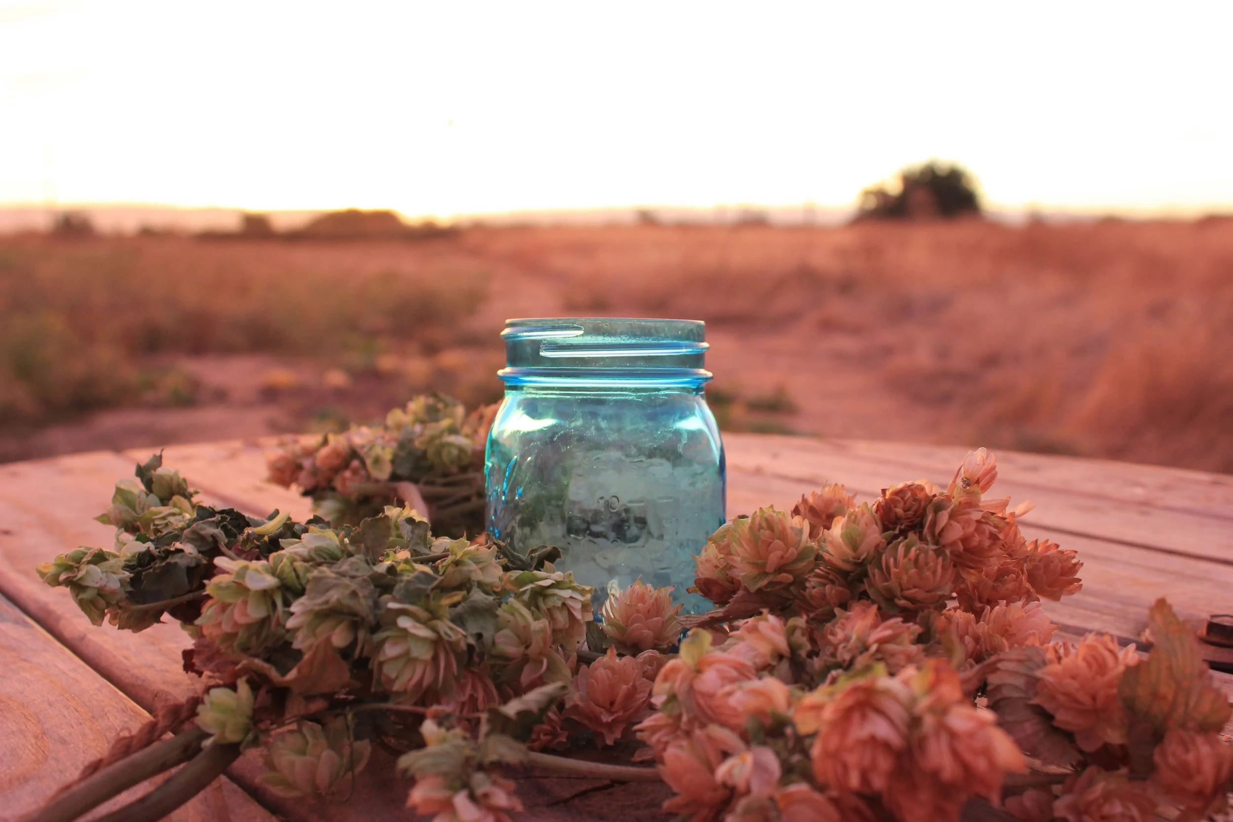 A clear glass jar on a wooden table surrounded by dried flowers, with an open landscape and a few trees in the distance during sunset.