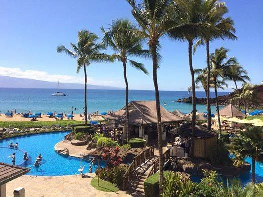 Pool area and beach at a tropical resort with palm trees and ocean view