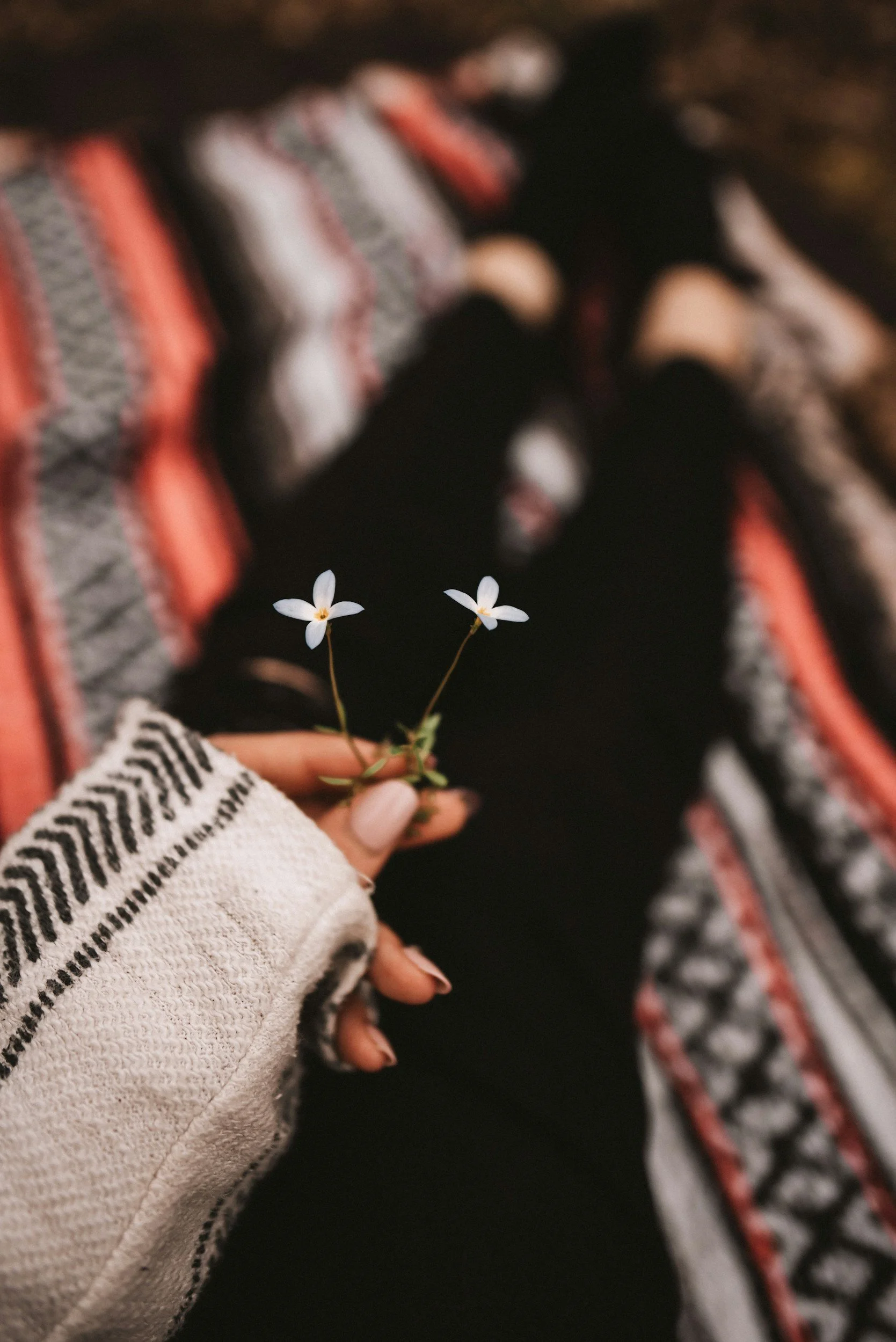 A person with short nails wearing a cream-colored sweater with black zigzag stripes is holding small white flowers with green stems.