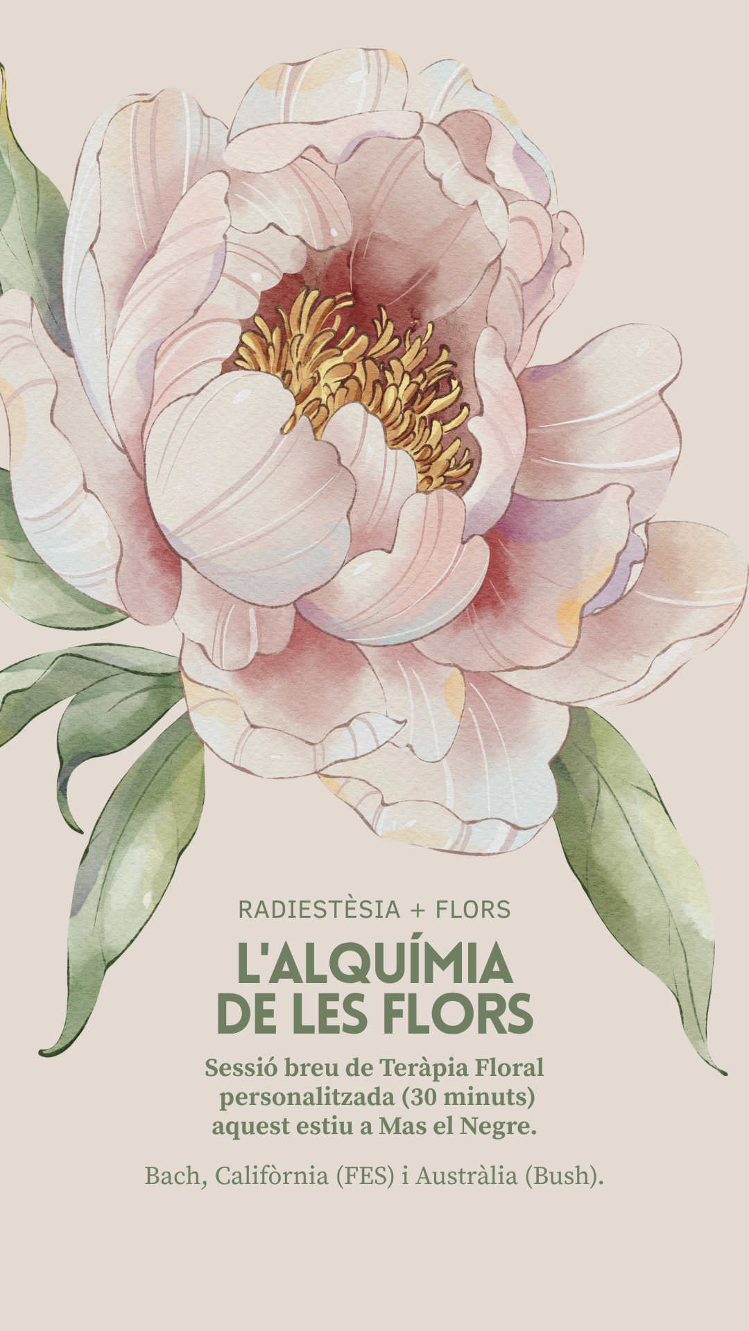 transmutar-terapia-floral.png