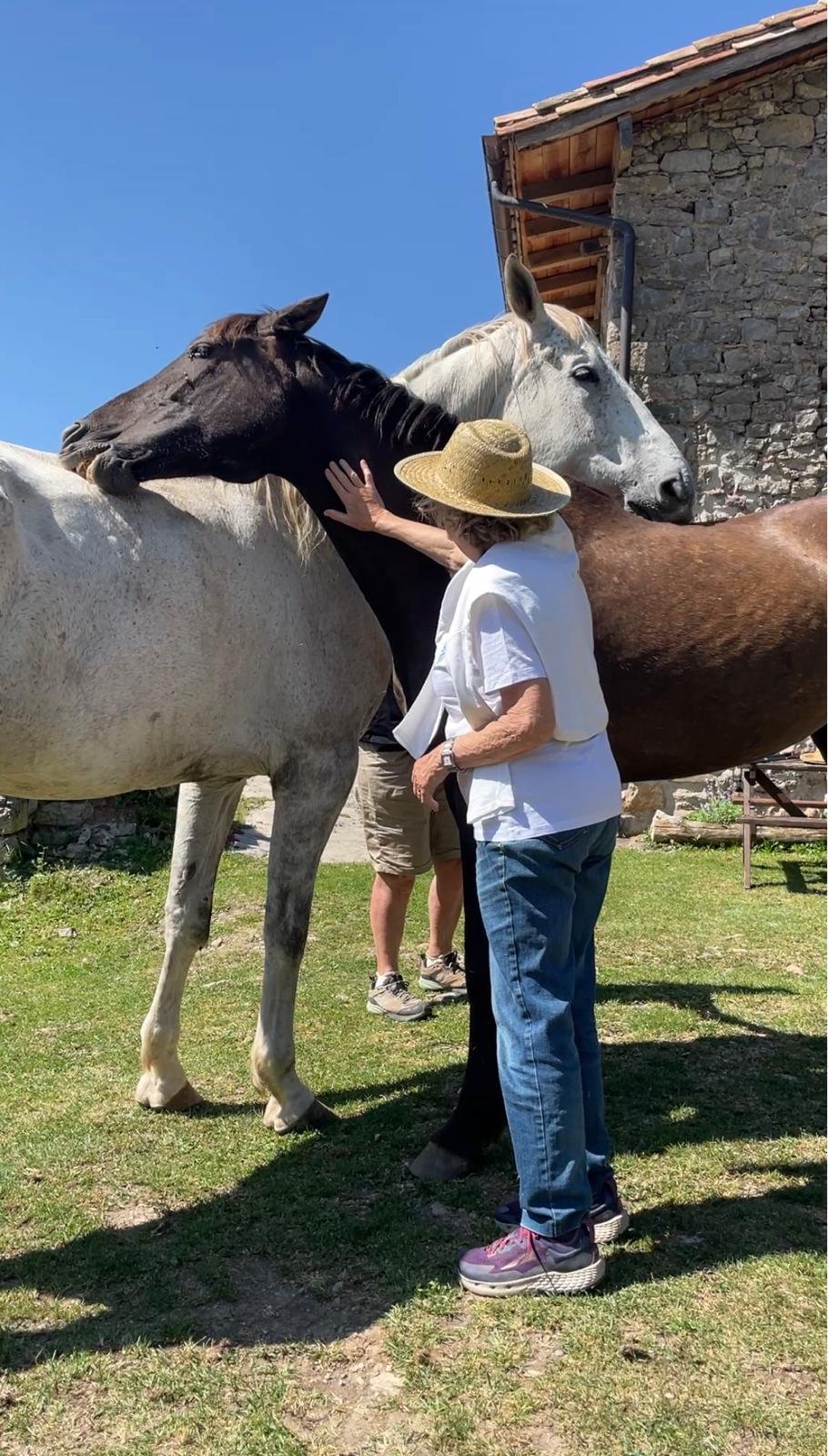 A woman with a straw hat petting two horses, one black and one white, outdoors on a sunny day near a stone building.