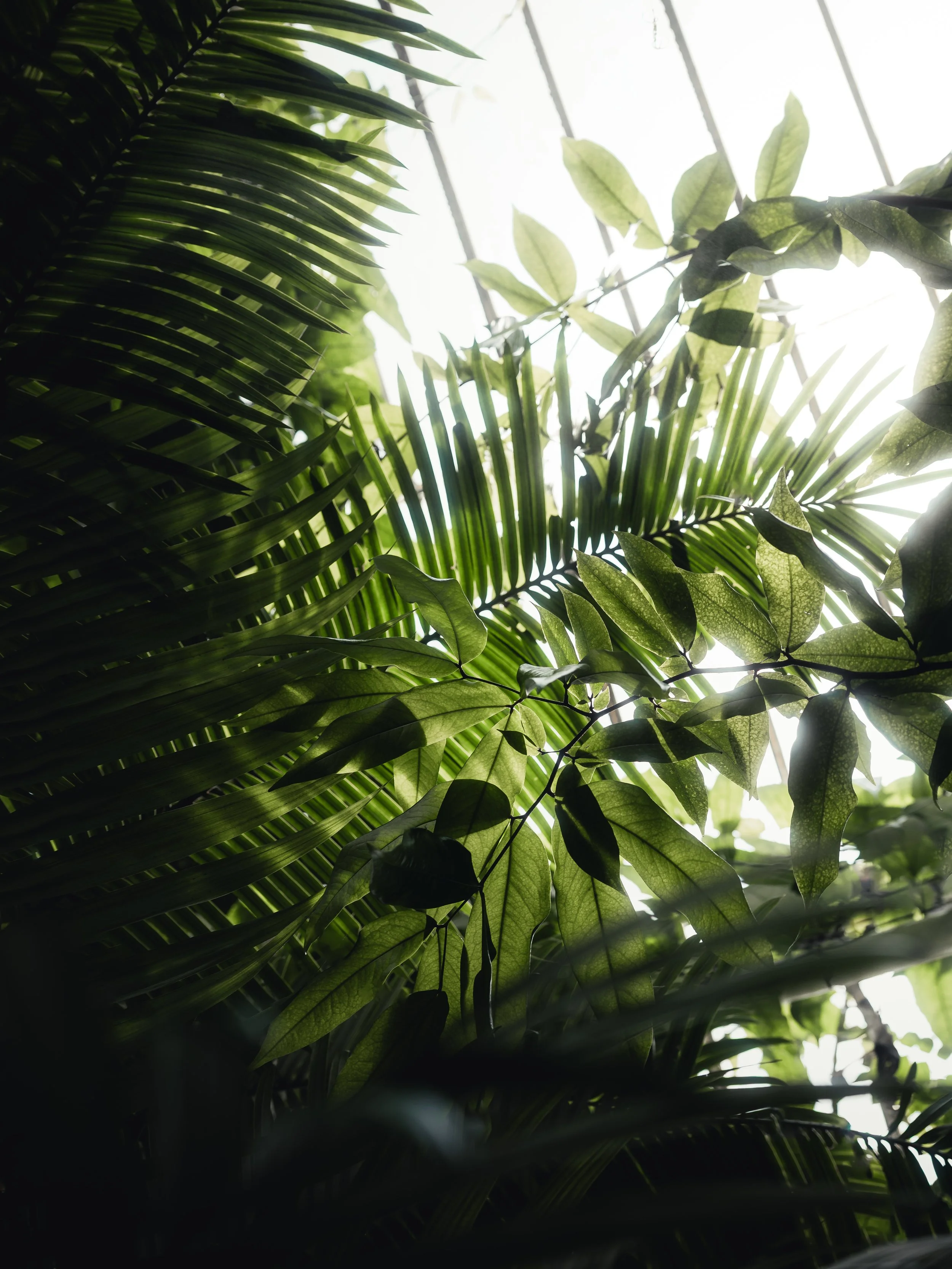 KEW WEB-6.jpg