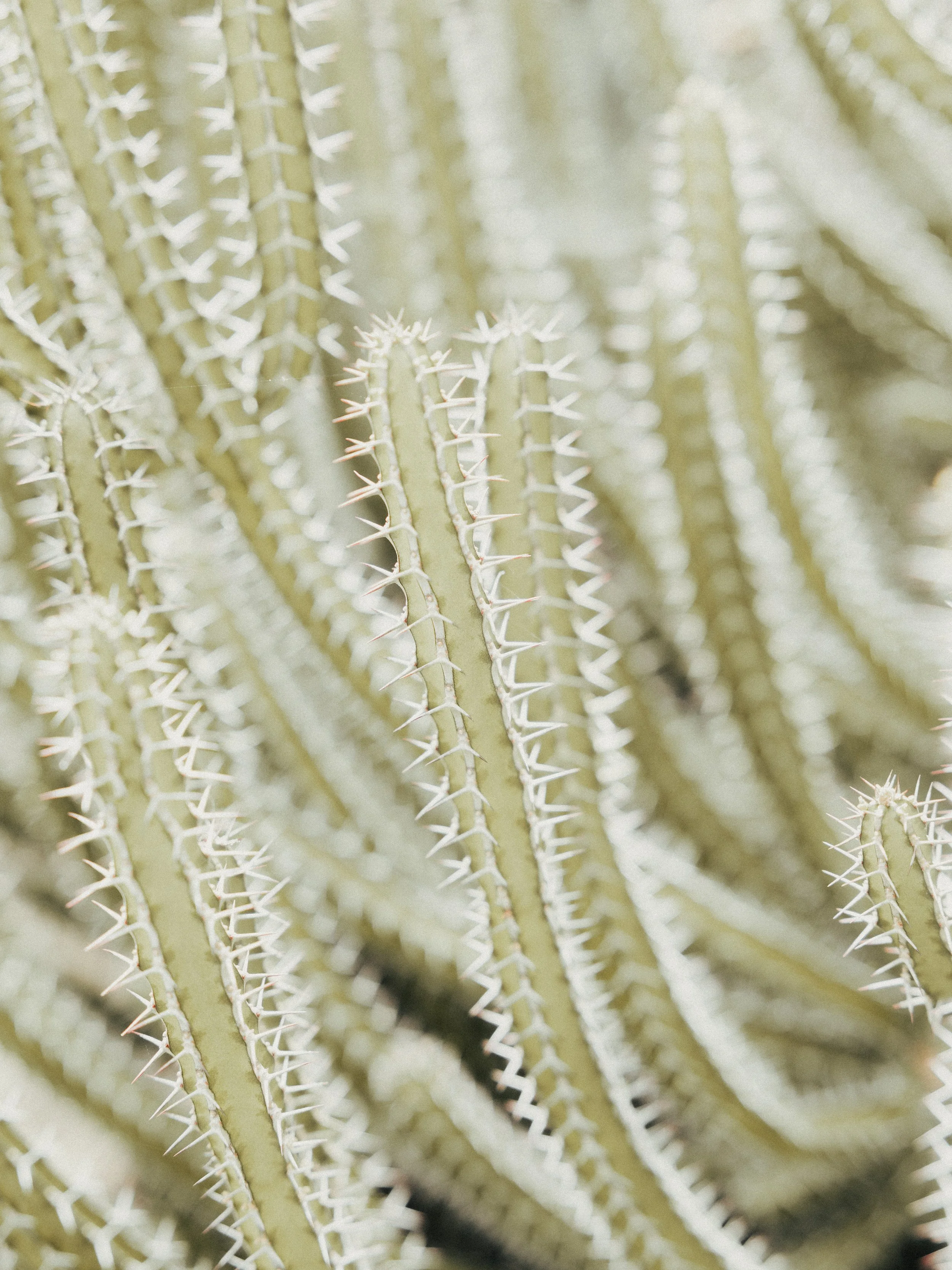 KEW WEB-13.jpg