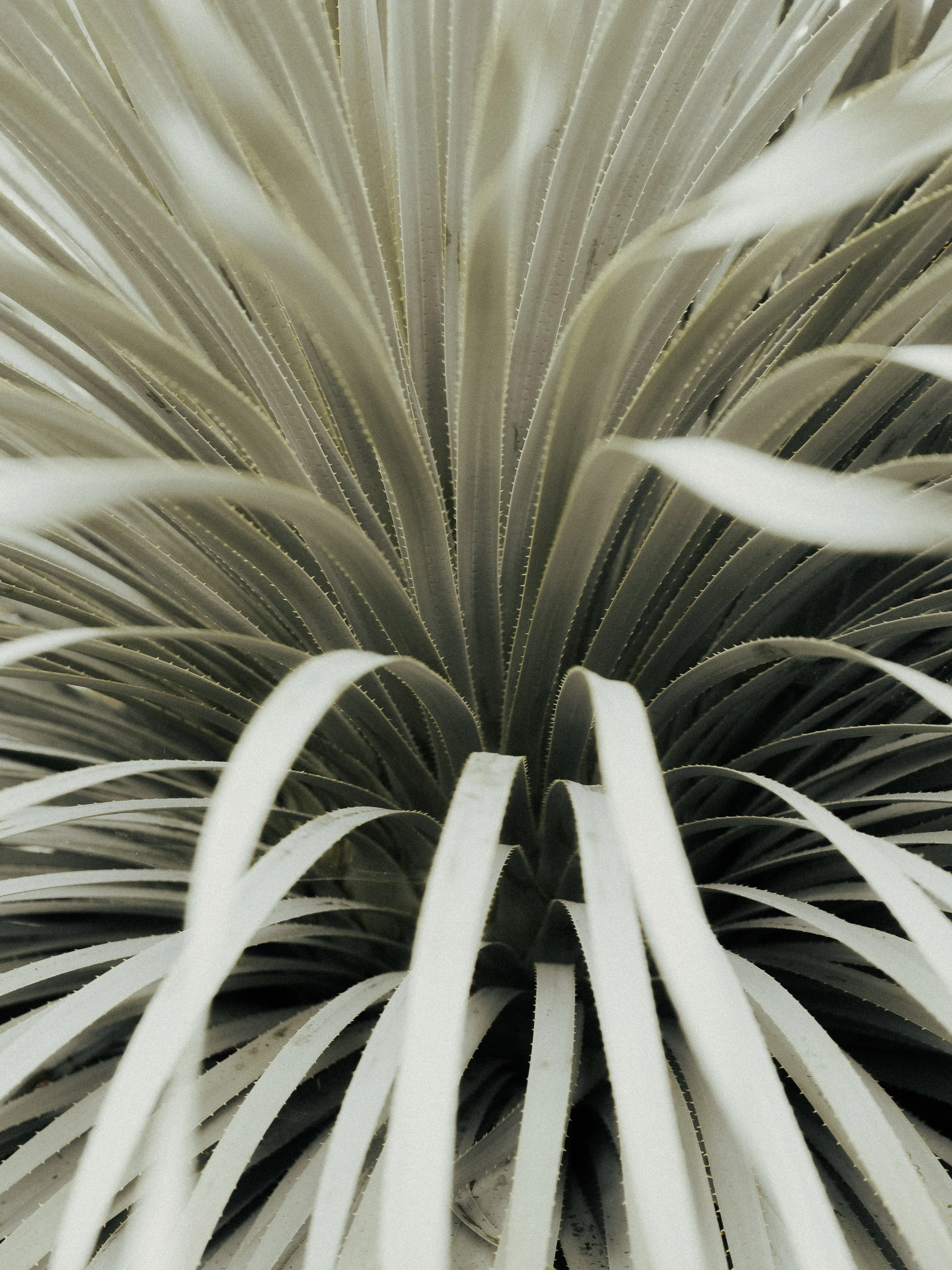 KEW WEB-11.jpg