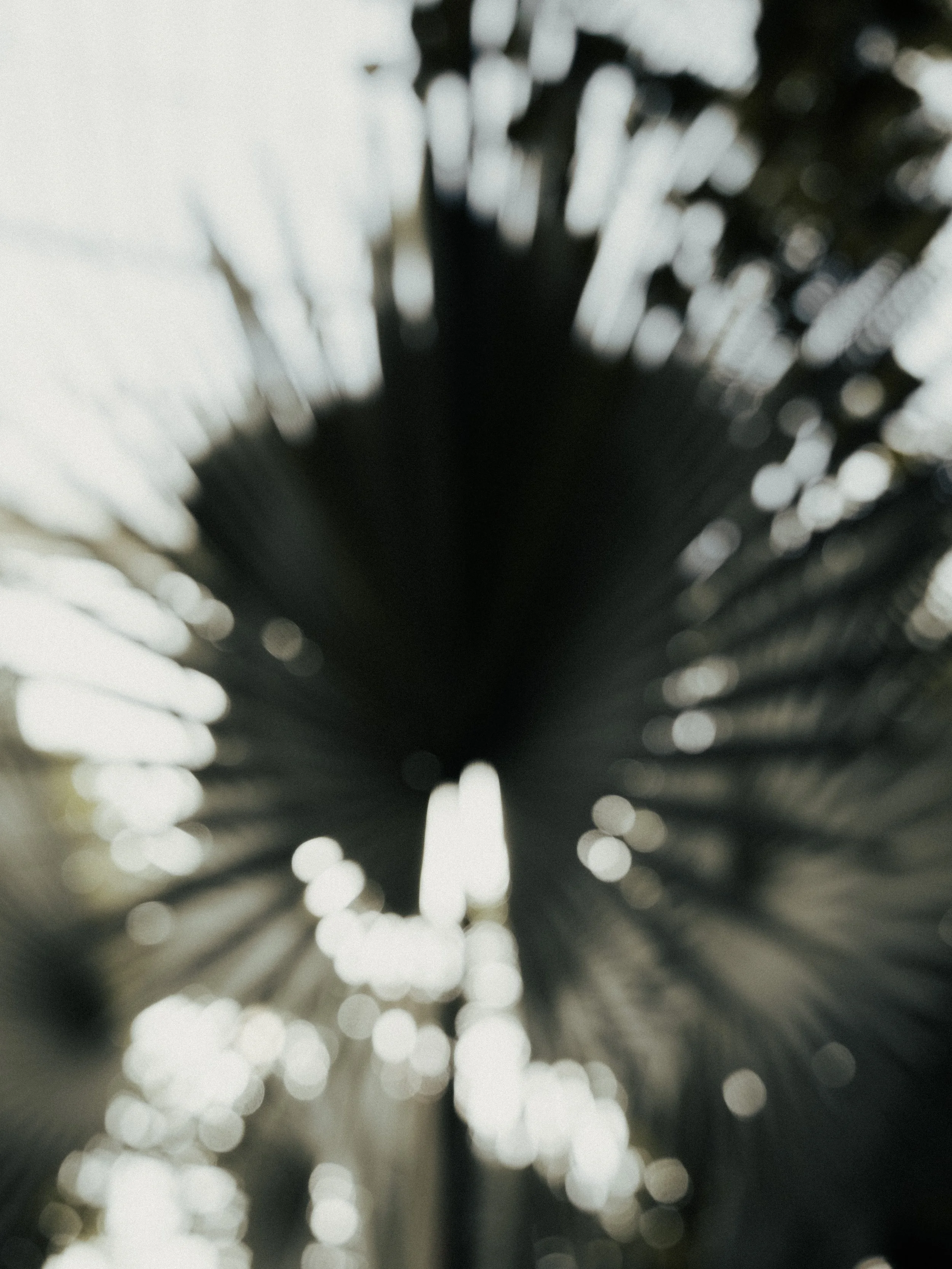 KEW WEB-16.jpg