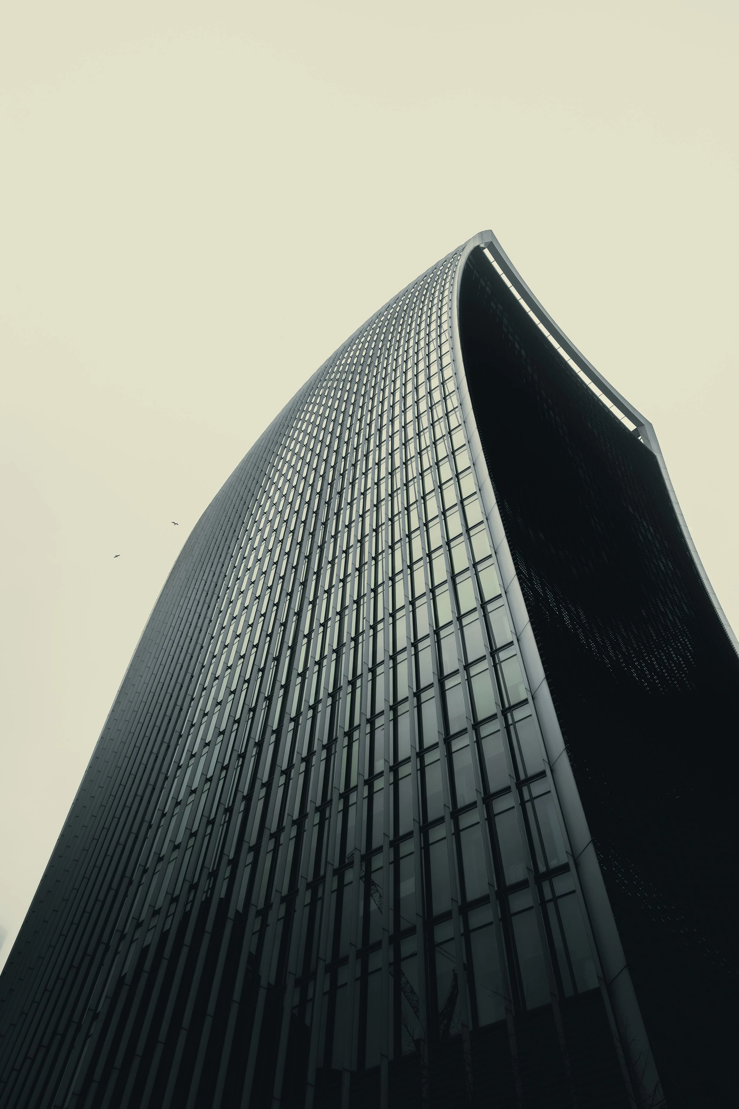 LDN-3.jpg