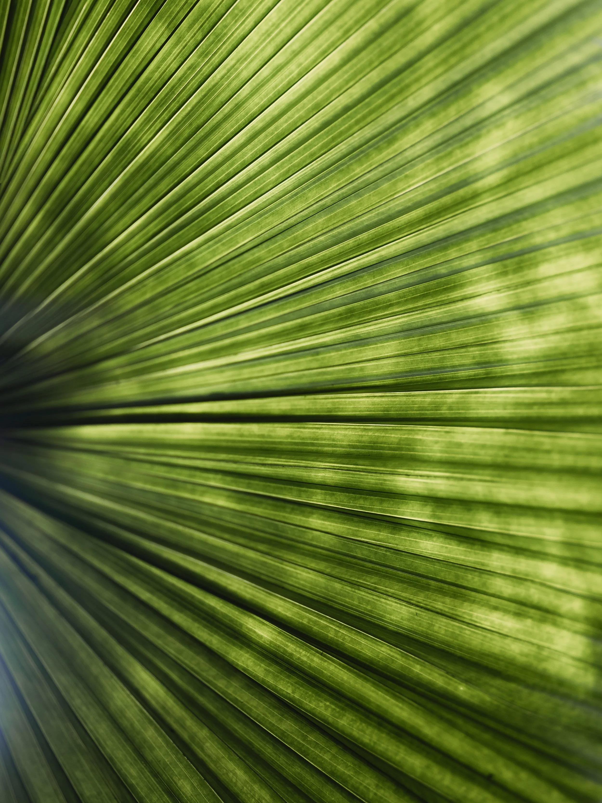 KEW WEB-5.jpg