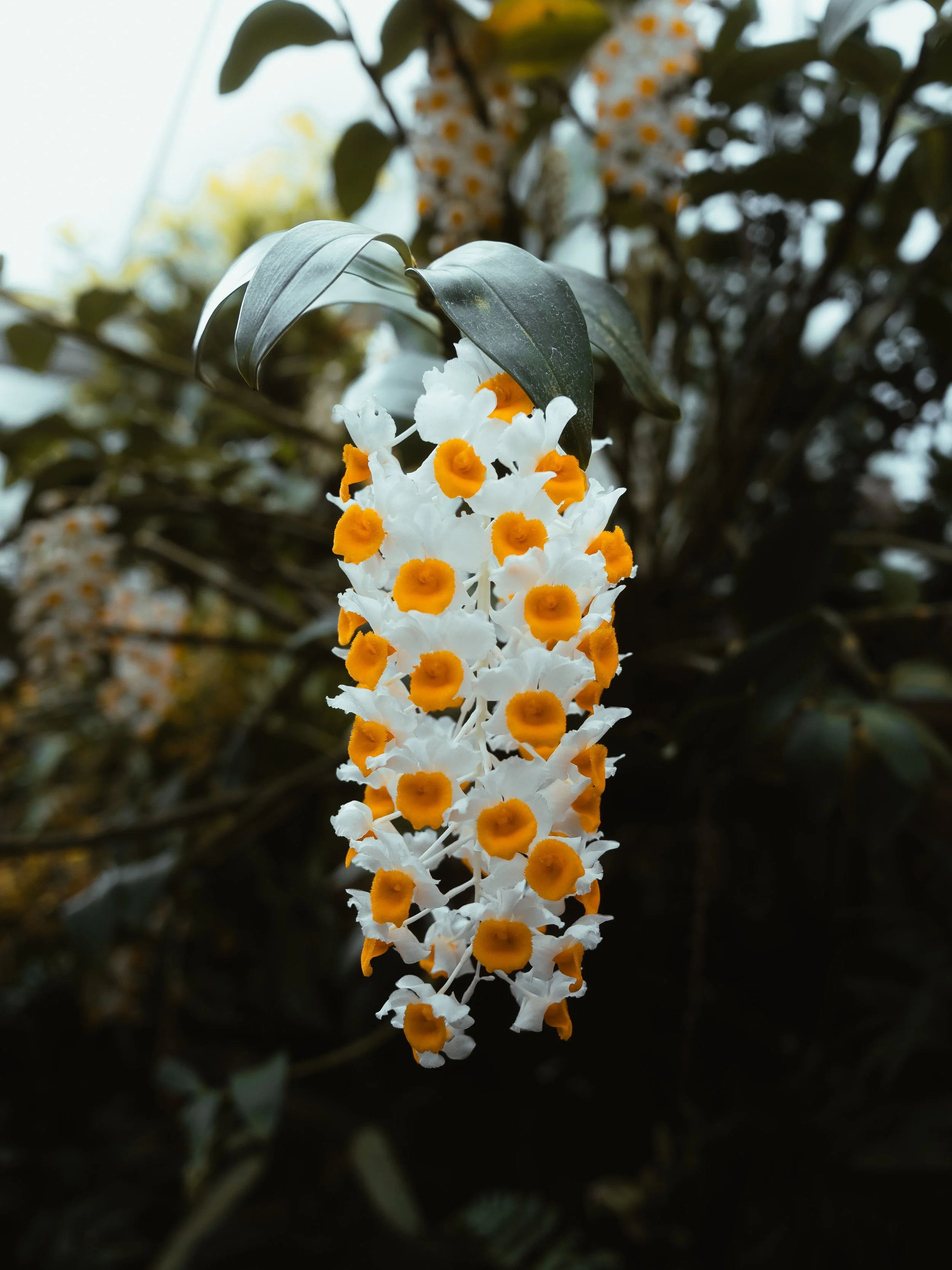 KEW WEB-3.jpg