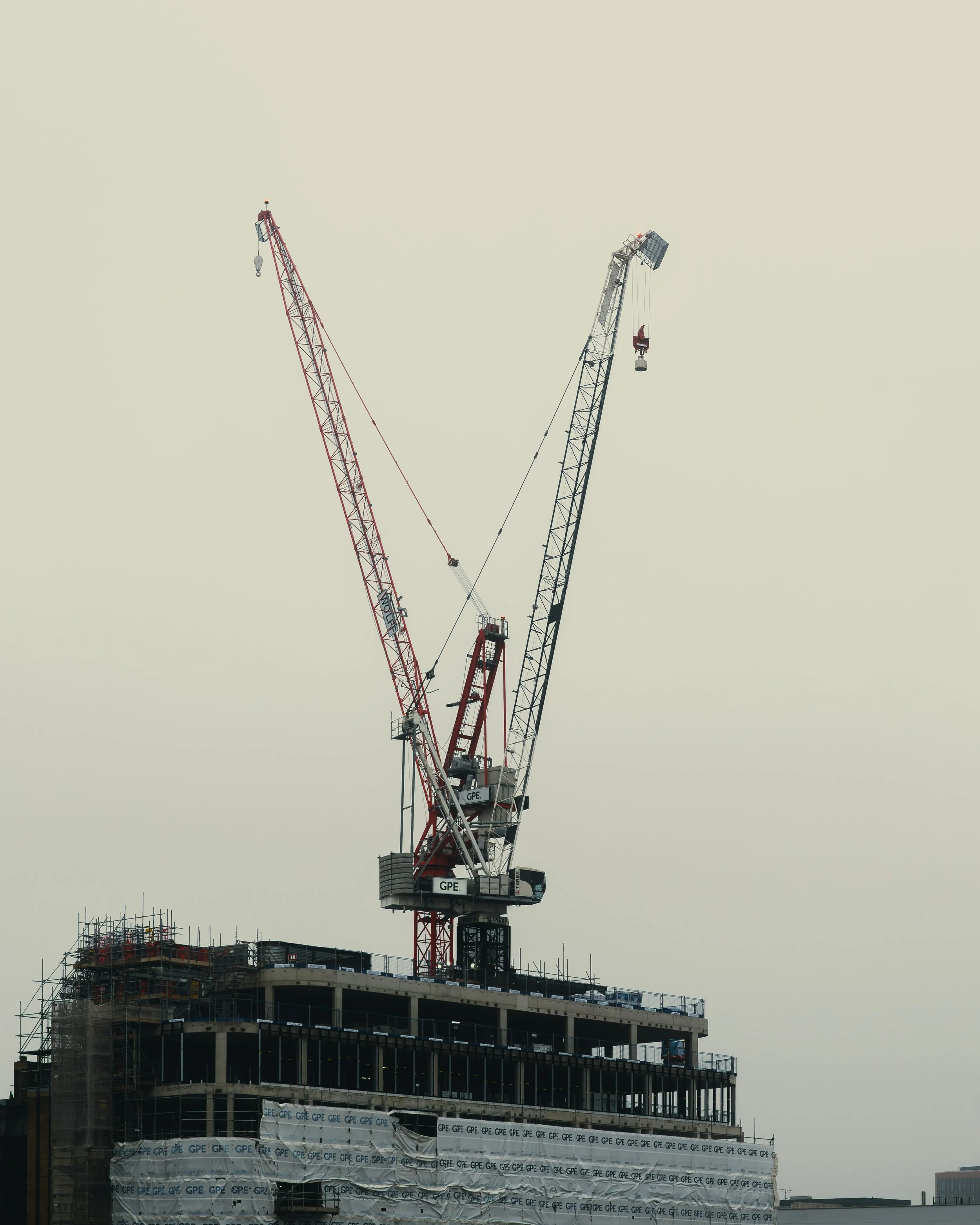 LDN-8.jpg