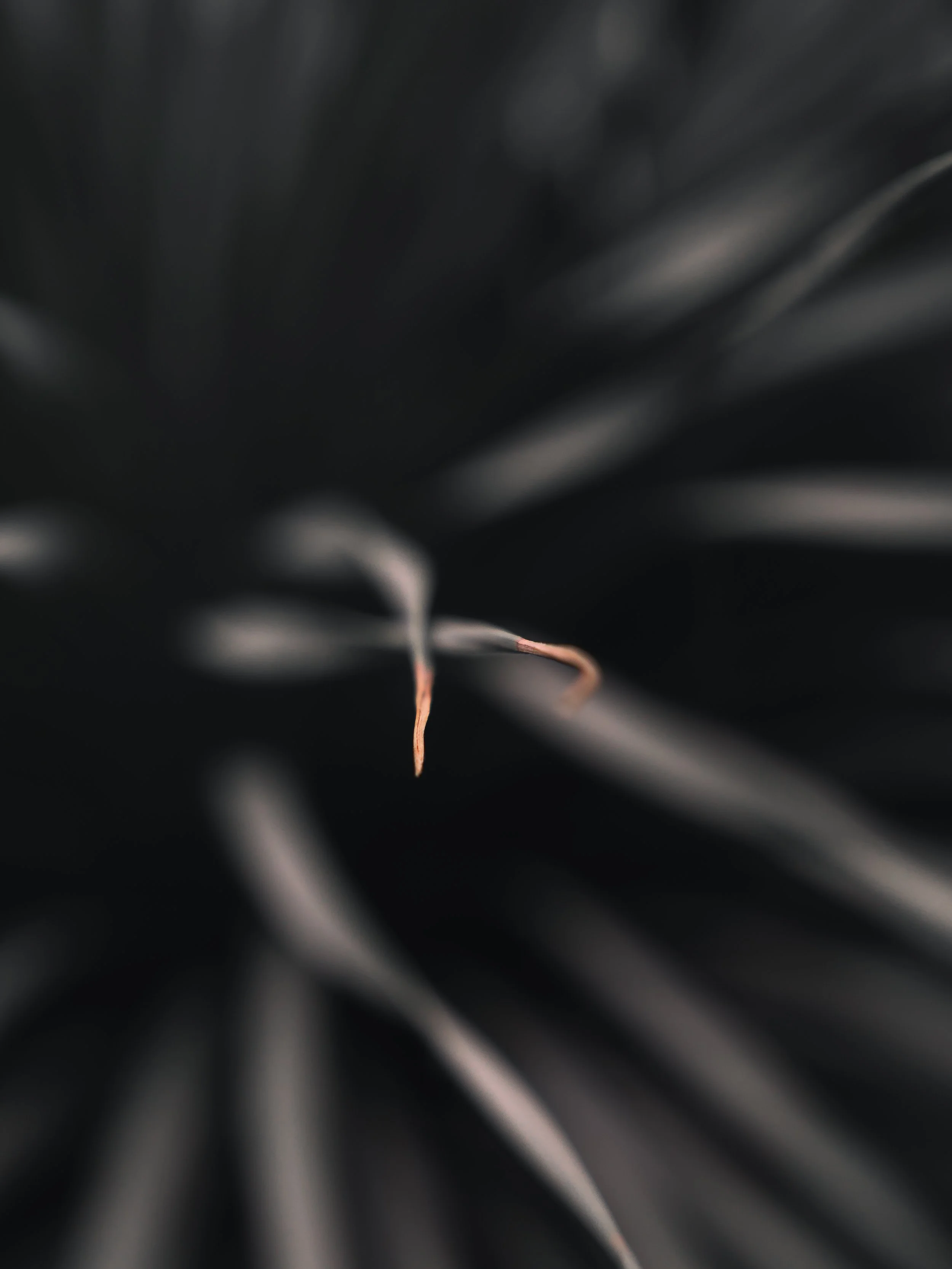 KEW WEB-1.jpg