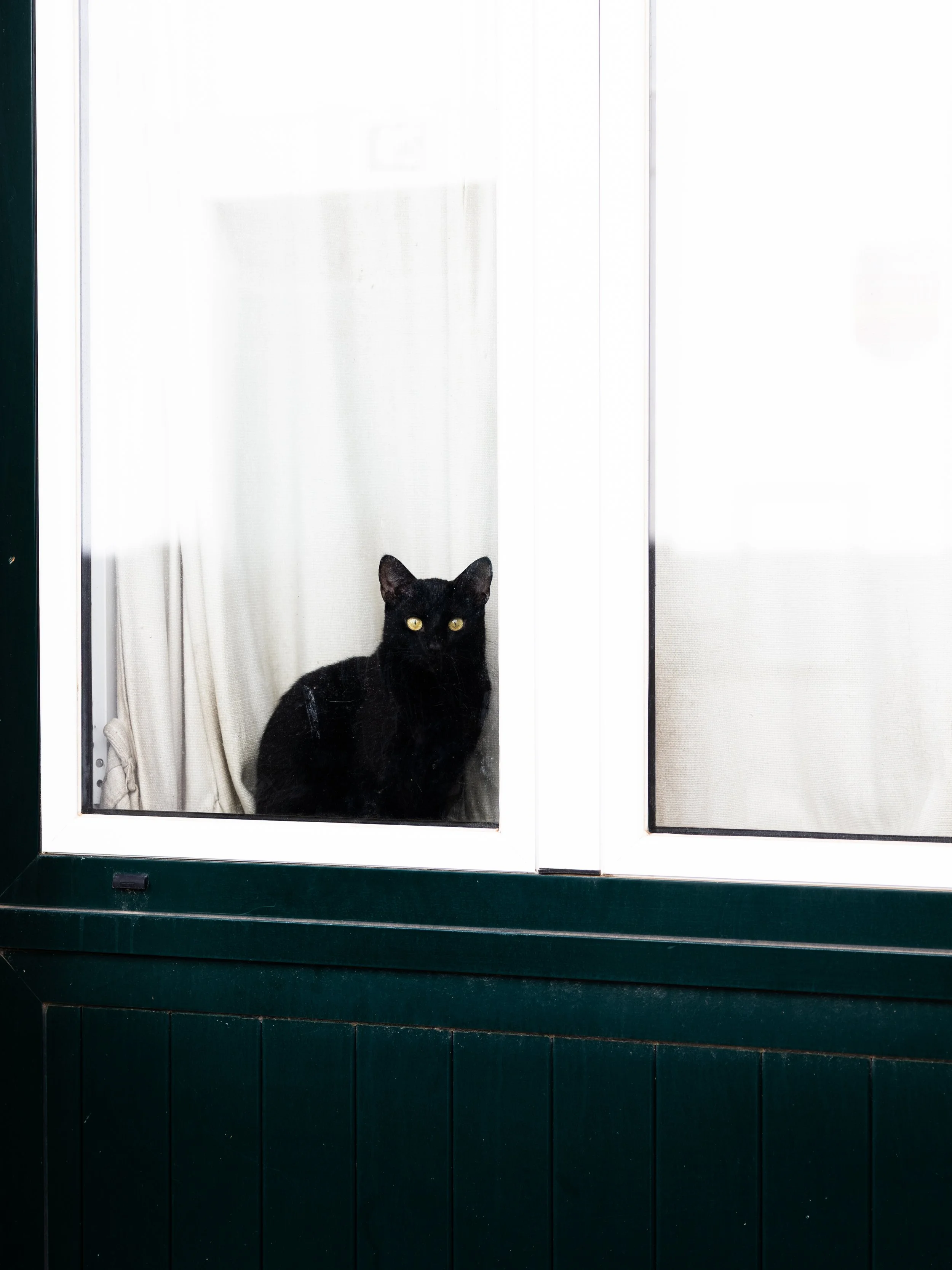 LISBON WEB-29.jpg