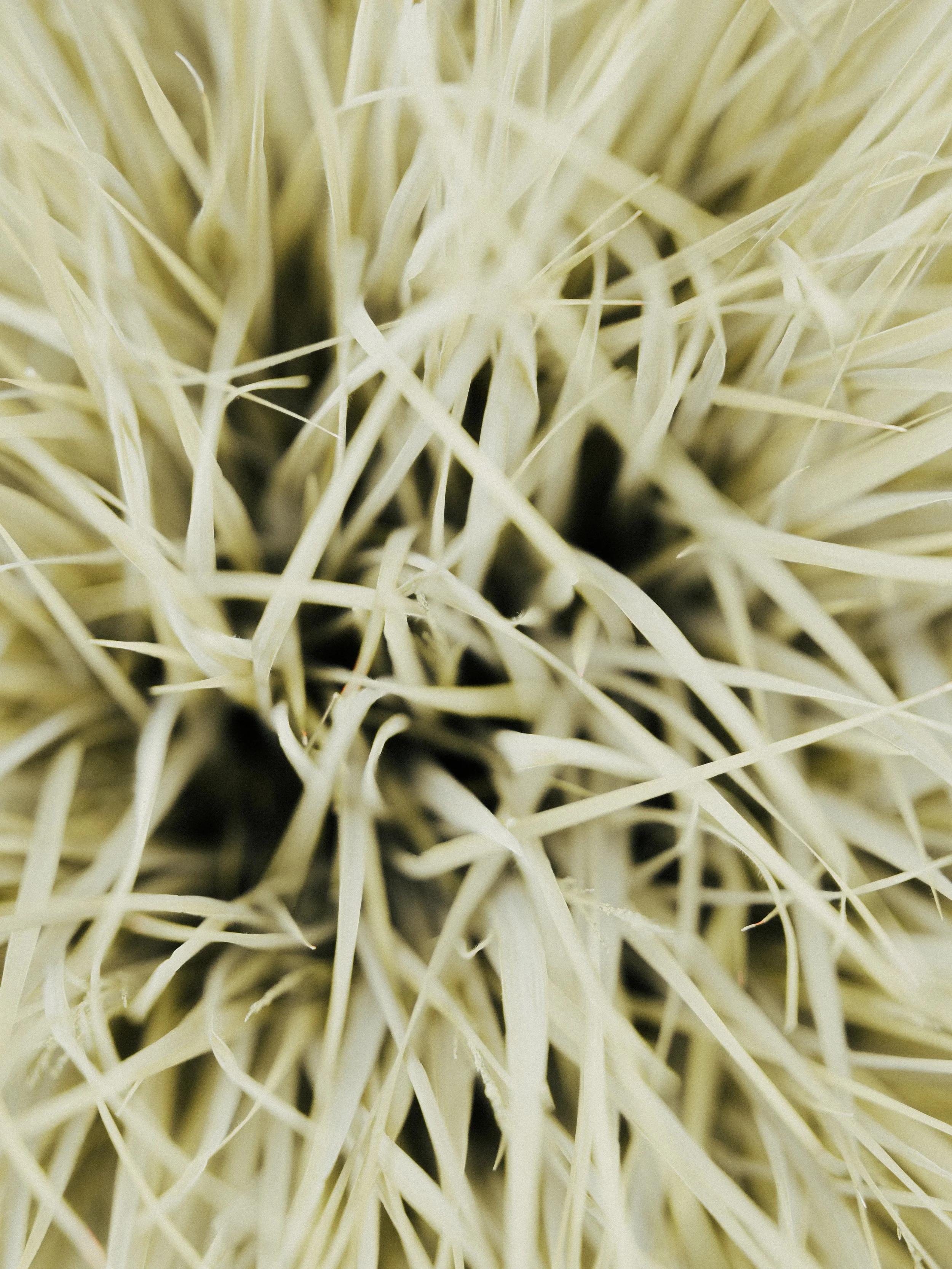 KEW WEB-8.jpg