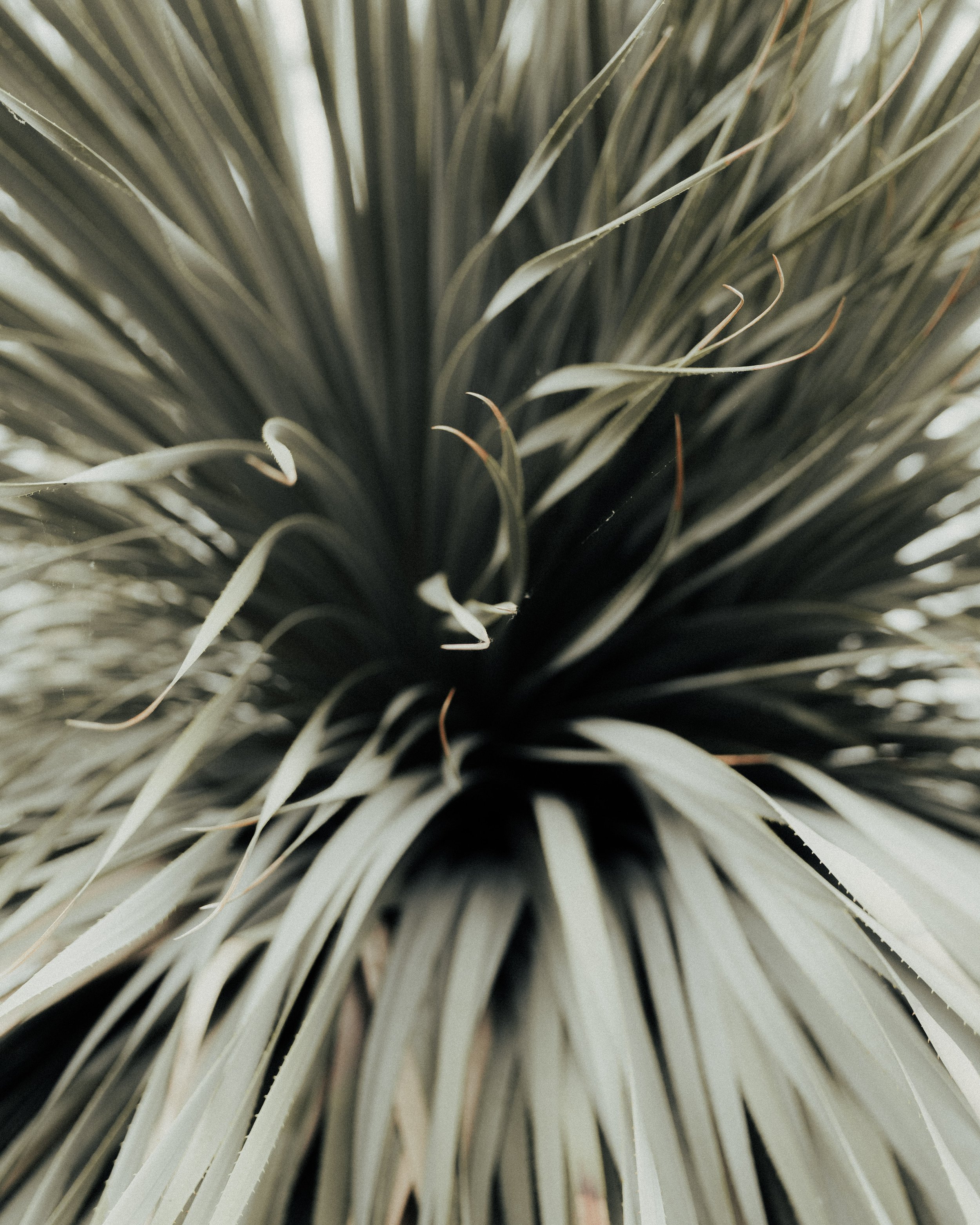 KEW WEB-12.jpg