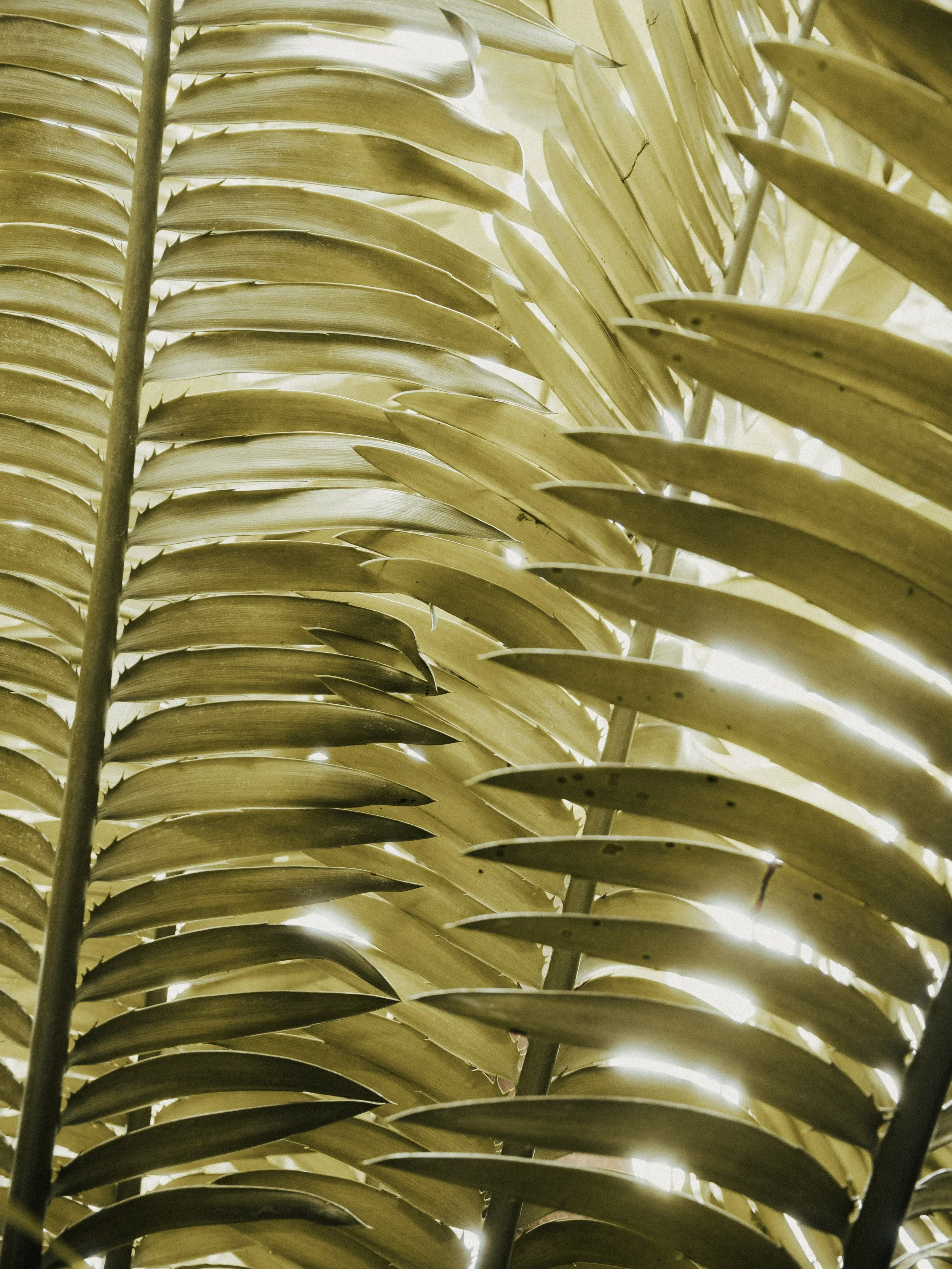 KEW WEB-18.jpg