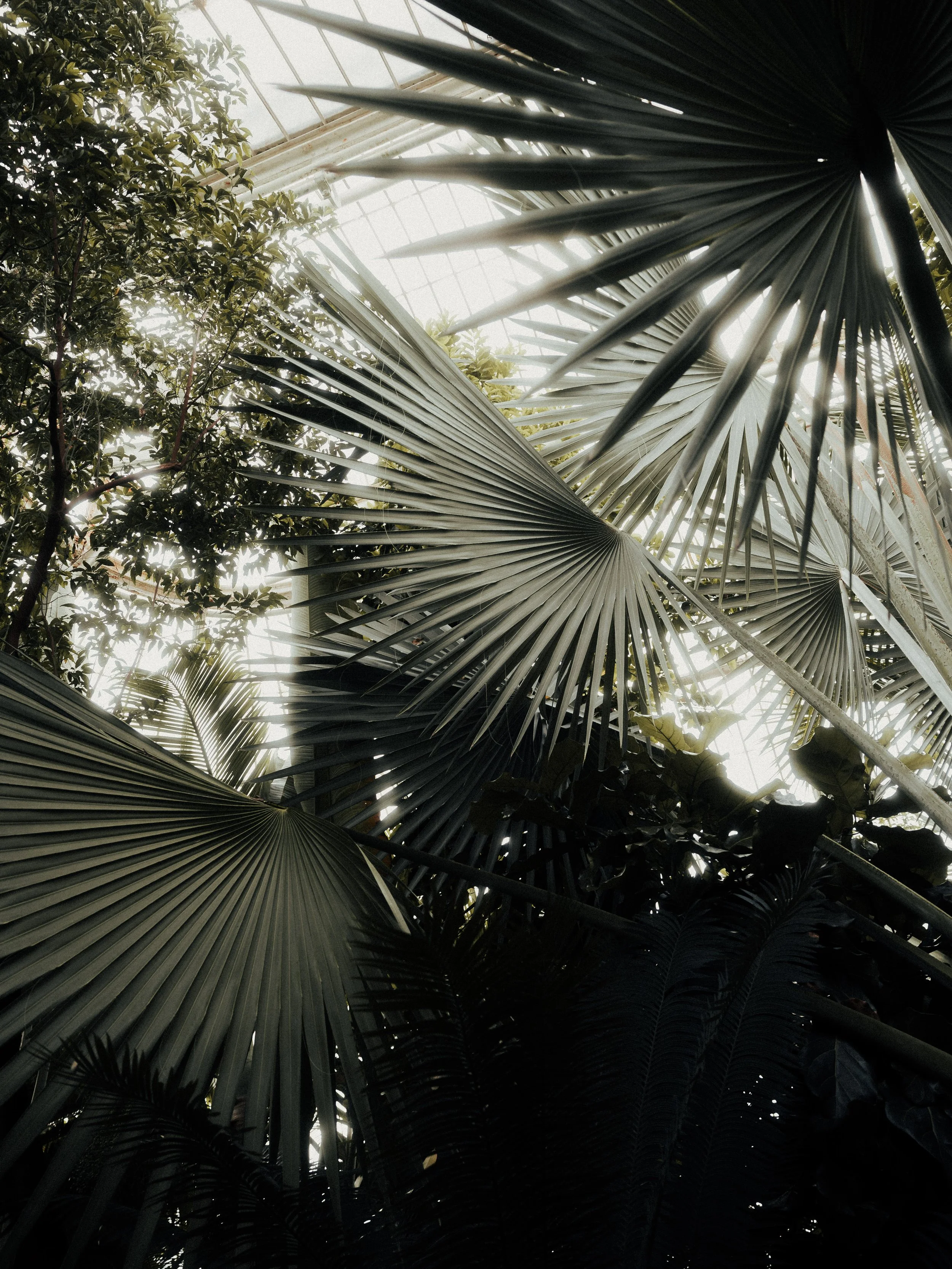 KEW WEB-17.jpg