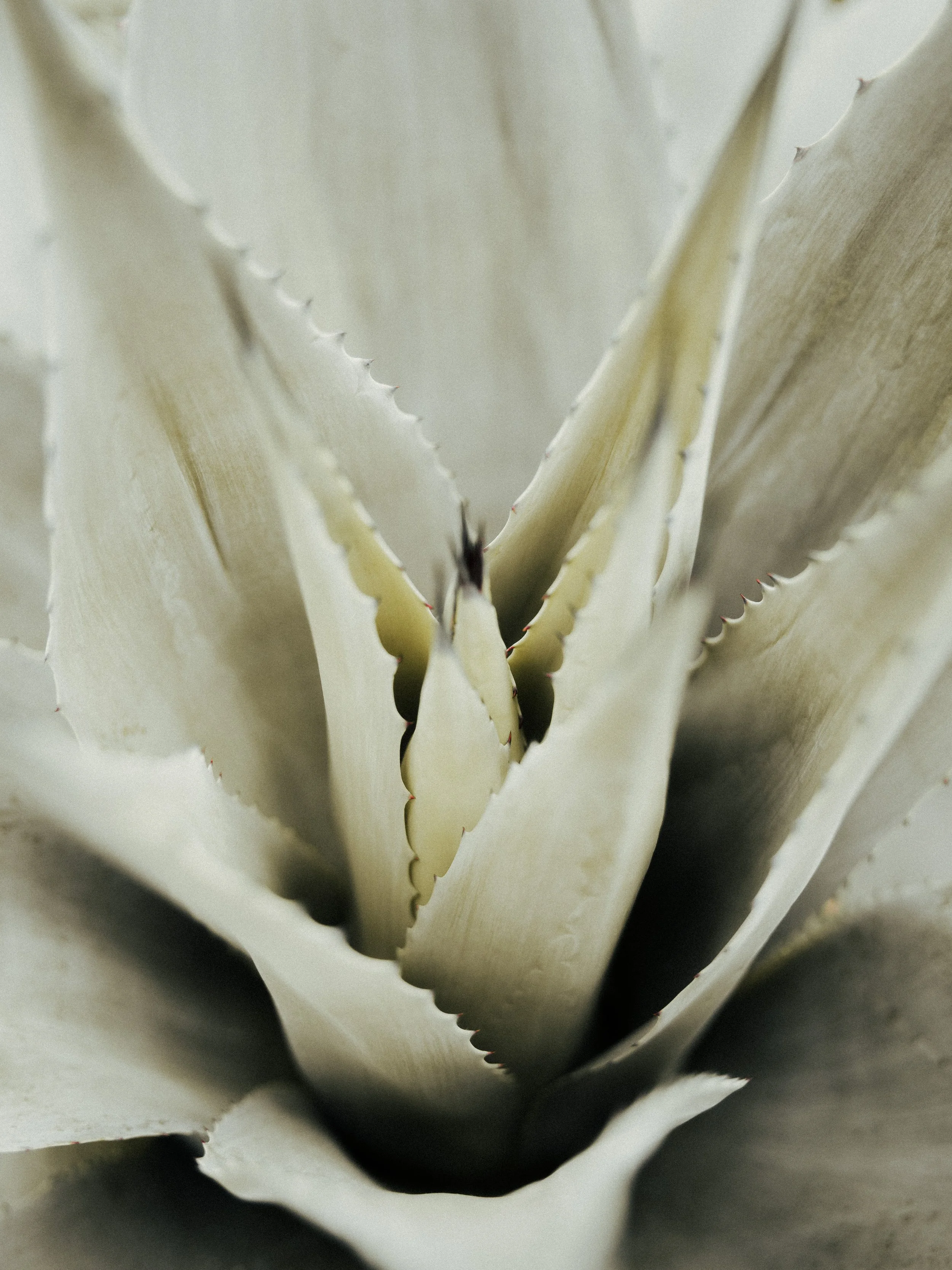 KEW WEB-10.jpg