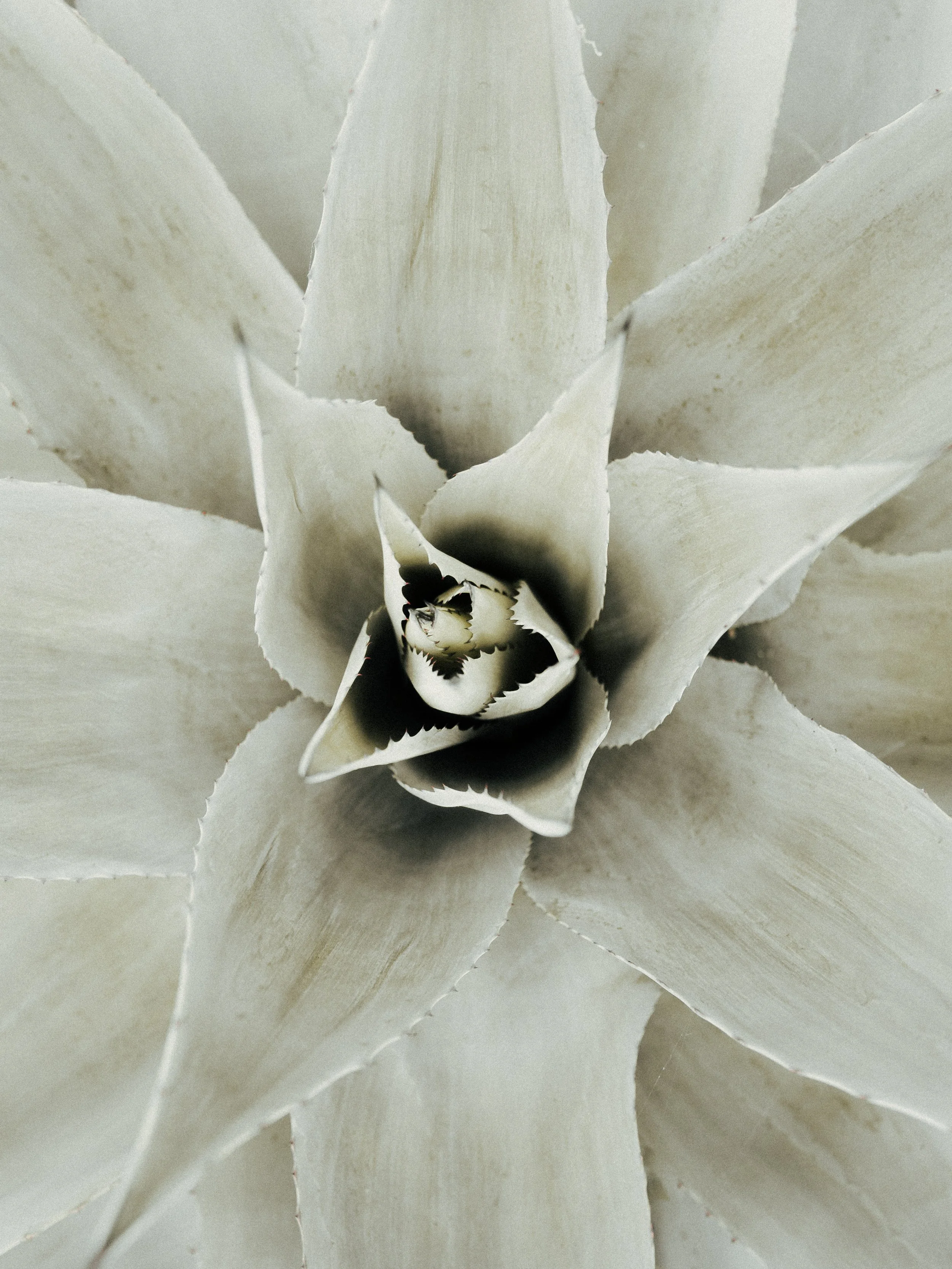 KEW WEB-9.jpg