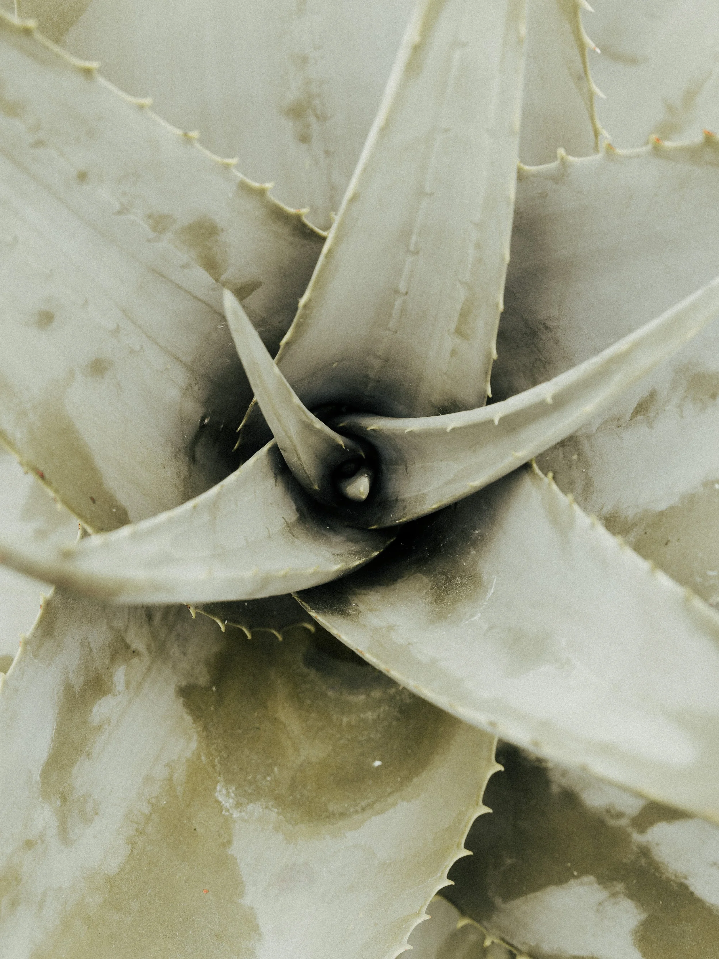 KEW WEB-15.jpg
