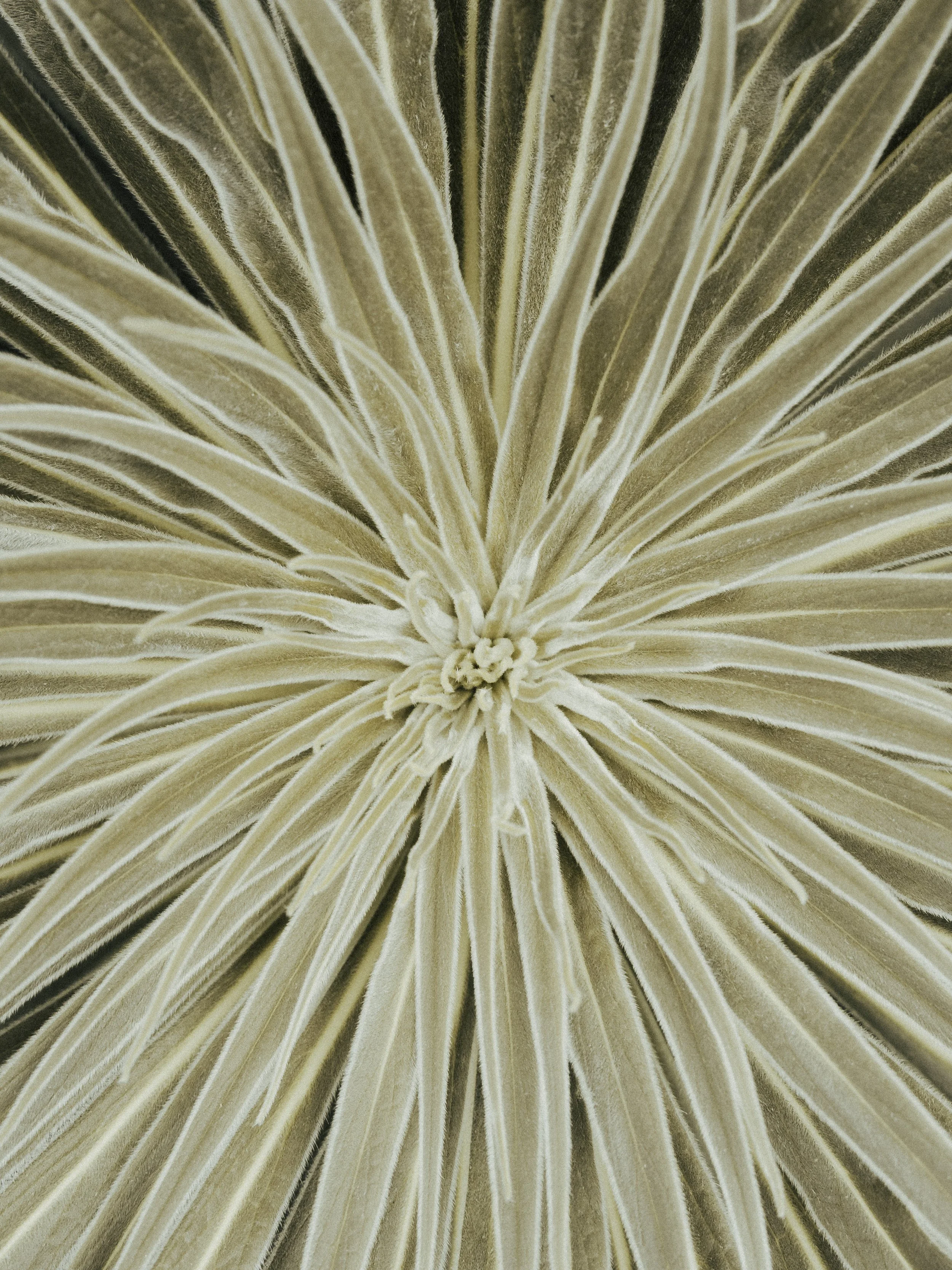 KEW WEB-14.jpg